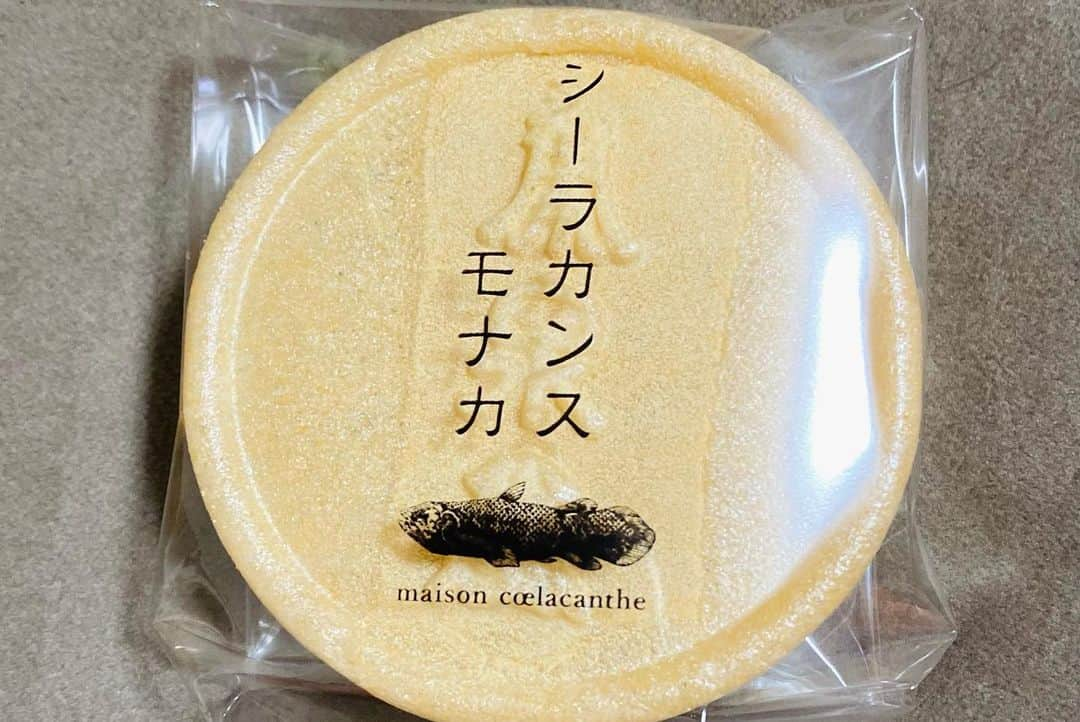 吉野史桜さんのインスタグラム写真 - (吉野史桜Instagram)「ボートレース平和島ch 『こんせいそんのスタジオ生放送！』  ありがとうございました✨ 楽しかった〜🥳  が！！！  ぜぜぜ全敗〜！！！ ショボ栗マロ〜ン🌰🥲  でも、こんさんプラス収支！ 良かった✨  しょぼくりぬいぐるみ化、 お気に入りだけど、許可なく作ってすみません🤣  花柄ワンピ、 のど飴の柄とか電話カバー柄 ってコメントもらって、 確かにー！って爆笑😂😂😂  毎回お土産もたくさん ありがとうございます🌈  平和島今年もたくさんお世話になりました！ また来年〜👋  #こんせいそんのスタジオ生放送 #ボートレース平和島 #ボートレース #平和島 #平和島競艇 #ニコニコ生放送 #ニコ生 #youtube」11月10日 18時56分 - shionyoshino