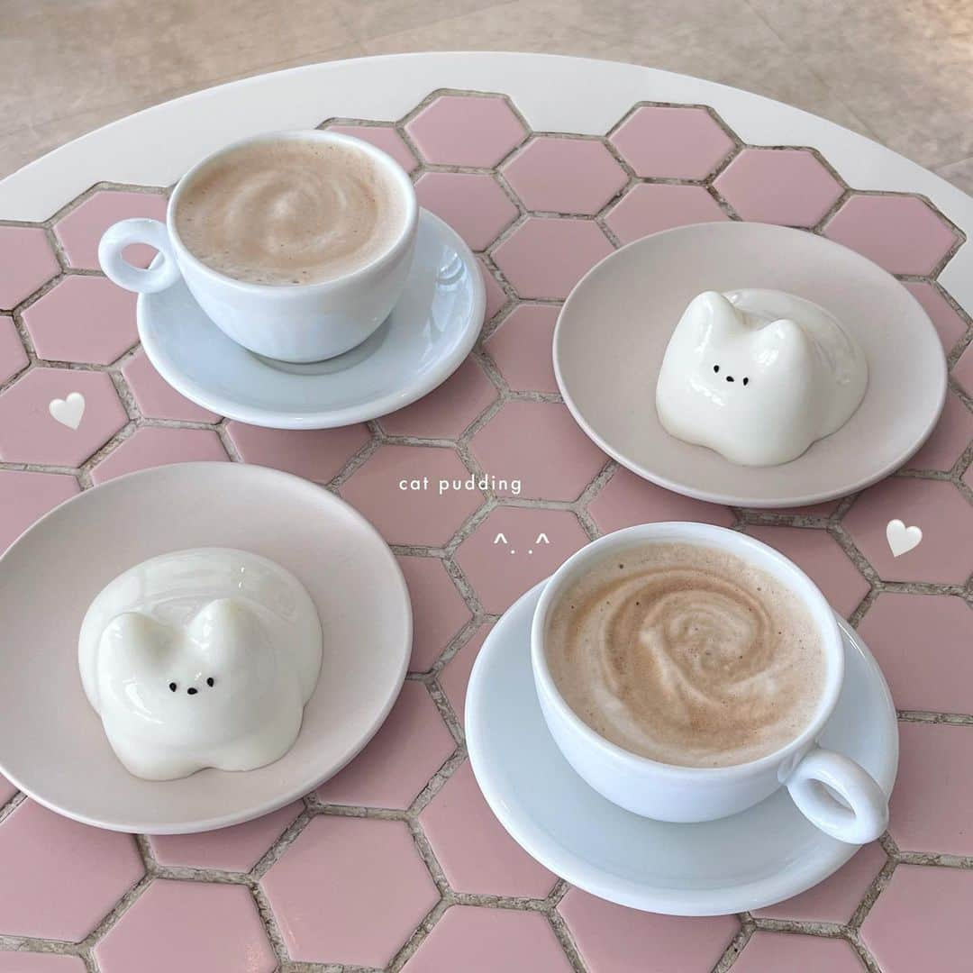 ayaのインスタグラム：「🐈🍮🤎🌟  猫プリンって名前がかわいい( ˊ̱˂˃ˋ̱ )🤍  ぷるぷる〜  @namchini82cafe   #namchini82cafe #新大久保 #新大久保グルメ #新大久保カフェ #新大久保食べ歩き #新大久保スイーツ #韓国グルメ #韓国風カフェ #韓国カフェ #猫プリン #カフェラテ #休日カフェ #カフェ #カフェ巡り #カフェ活 #カフェ好き #カフェスタグラム #かふぇ #かふぇすたぐらむ」