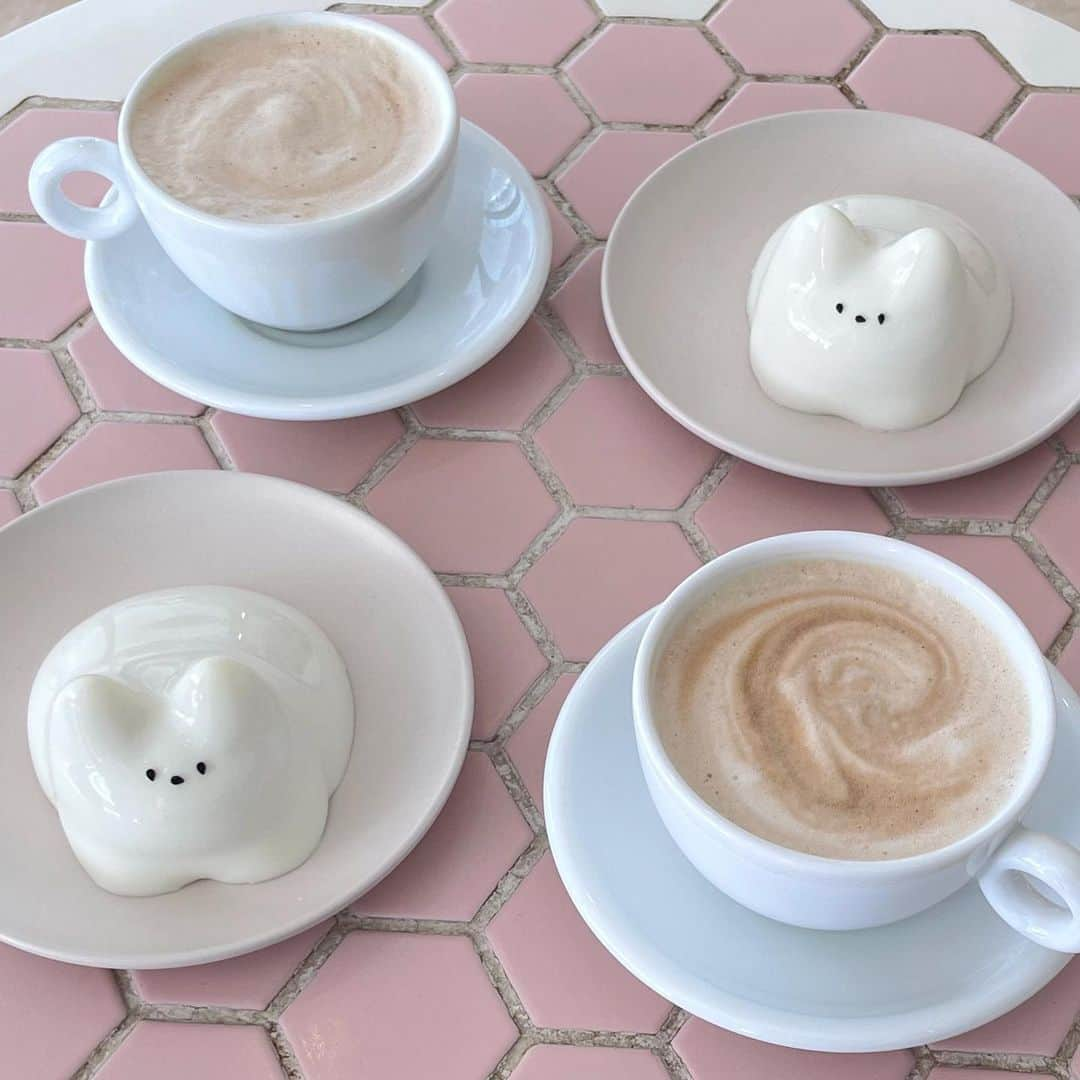 ayaさんのインスタグラム写真 - (ayaInstagram)「🐈🍮🤎🌟  猫プリンって名前がかわいい( ˊ̱˂˃ˋ̱ )🤍  ぷるぷる〜  @namchini82cafe   #namchini82cafe #新大久保 #新大久保グルメ #新大久保カフェ #新大久保食べ歩き #新大久保スイーツ #韓国グルメ #韓国風カフェ #韓国カフェ #猫プリン #カフェラテ #休日カフェ #カフェ #カフェ巡り #カフェ活 #カフェ好き #カフェスタグラム #かふぇ #かふぇすたぐらむ」11月10日 18時58分 - xxayapink