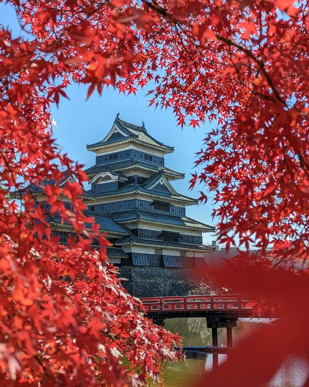 詩歩のインスタグラム：「Day and night views of Matsumoto Castle, a national treasure of Japan. 🏯 国宝・松本城の昼の顔と夜の顔。  日本を代表するお城のひとつ #松本城 。 当時のまま現存する貴重な日本の12天守閣のひとつで、さらにその中で5ヶ所しかない国宝に登録されている天守閣です。（つまり超貴重な城）  昨年11月に訪れた際にちょうど紅葉が見頃を迎えていたので、昼と夜に同じ場所で撮影してみました！昨年シーズン中にアップしそびれて今年こそ…と思ってたら、またもやタイミングを逃した🤦‍♀  1枚目も2枚目も同じ場所から撮影しているんだけど、全然違う姿に見えませんか？  松本城の特徴は黒漆が塗られた「漆黒の城」と呼ばれる外観だけど、夜にライトアップされた姿は昼間と全然違っていて…その佇まいに感動したのを覚えています。写真のくわしい撮影場所は、右下に写っている”有名な赤い橋”をヒントに歩いて探してみてくださいね😉  放送中の大河ドラマ #どうする家康 に絶賛ハマっている私ですが、キーパーソンのひとり石川数正が松本城に大きく関わっていたことを放送を見て知るという失態…次に訪れたときは彼の足跡も辿りながら巡りたいと思います。  長野県の写真はこのタグでまとめています / Posts of this area can be found in this tag.→ #shiho_nagano   #MatsumotoCastle is one of the most famous castles in Japan. It is one of the 12 most precious castle towers that still exists as it was when it was built, and one of only 5 in the country that is registered as a National Treasure.  When I visited last November, the autumn leaves were just at their best, so I took pictures of the same place during the day and at night! I missed uploading them during the season last year and thought I'd do it this year... but I missed the timing again:   The first and second pictures were taken from the same place, but don't they look completely different? #Matsumotojo  is characterized by its black lacquer exterior, called "Jet-Black Castle," but when lighted up at night, it looks completely different from its daytime appearance... I remember how impressed I was. For the exact location of the photo, please take a look at the "famous red bridge" in the lower right corner of the photo and try to find it on foot.  Taken by #pixel7pro #pixelで撮影   📷5-6th Nov 2022 📍長野県 松本城 / Matsumoto castle, Nagano Japan    ©︎Shiho/詩歩」