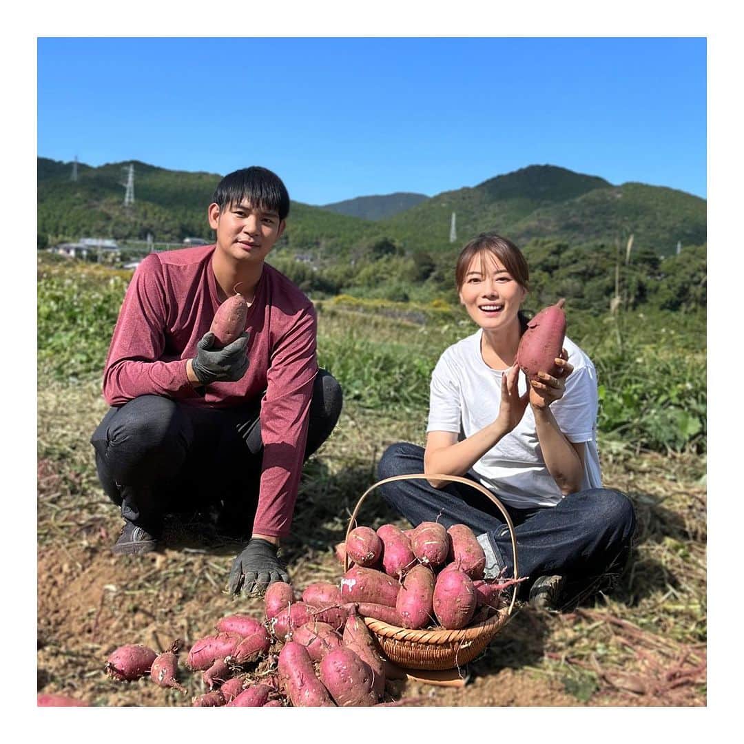 羽舞咲のインスタグラム：「🎗Sweet potatoes  ⁡ 今年の7月ごろ 五島のサツマイモ農家さんから たくさんの苗（紅はるか）をいただいて 夫が土づくりをした畑に植えました🌱 ⁡ そして11月 楽しみにしていた収穫の時がやってきました‼︎ ⁡ ツルが長く伸びているので鎌で切って 根元の土を掘っていくと キレイな楕円のカタチの紅はるかが出てきた🍠 ⁡ 東京暮らしのときは こんな喜びを知らなかったなぁ… ⁡ 収穫をすると 「自然のしくみって素晴らしい」 ⁡ 自然の偉大さに感動します(*´-`*) ⁡ 美味しい自然のパワーをいただける豊かな暮らしに感謝❤️ ⁡ ⁡ ┅┅┅┅┅┅┅┅┅┅┅┅┅┅┅┅┅┅┅┅ ⁡ 🎧神宮前ラジオ 「羽舞咲のゆるゆるビューティ研究所」 （毎週水曜日オンエア） ⁡ 心を込めてお届けします♡ ⁡ @herbemi プロフィールリンクをチェック！！ ⁡ ┅┅┅┅┅┅┅┅┅┅┅┅┅┅┅┅┅┅┅┅ ⁡ #シンプルライフ #ライフシフト #スローライフ #ヘルシーライフ #セルフラブ #ナチュラルライフ #五島列島 #ウェルネスライフ #収穫 #夫婦野菜 #羽舞咲」