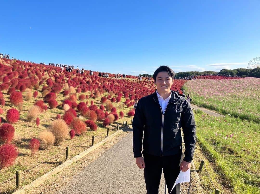 所村武蔵さんのインスタグラム写真 - (所村武蔵Instagram)「. 先日取材で行ったひたち海浜公園のコキアがとても綺麗に色づいていました。 先週は全日本大学駅伝の中継に携わっていましたが、今週からまた精一杯外からの情報を伝えさせていただきます！  スーパーJ チャンネル(土日) 17:30〜放送です。 今週も是非ご覧ください！  #ひたち海浜公園 #コキア  #スーパーjチャンネル  #テレビ朝日 #アナウンサー   #所村武蔵」11月10日 19時36分 - 634__ex