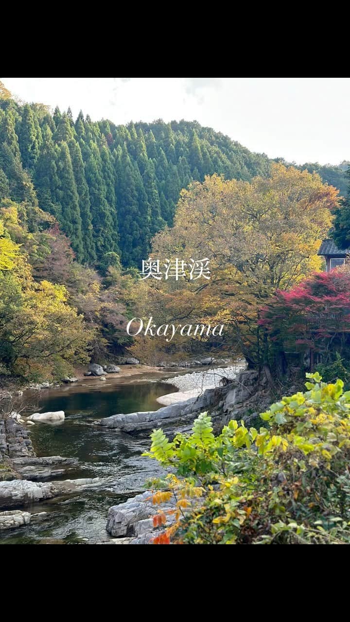 西村麻衣のインスタグラム：「【岡山】 奥津渓の紅葉🍁  美咲町の卵かけご飯🥚」