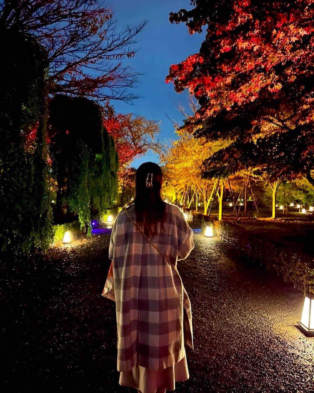 山根綺さんのインスタグラム写真 - (山根綺Instagram)「🍁✨ #京都 #kyoto #清水寺 #下鴨神社 #二条城 #二条城ライトアップ #kiyomizudera」11月10日 19時53分 - yaya_usap