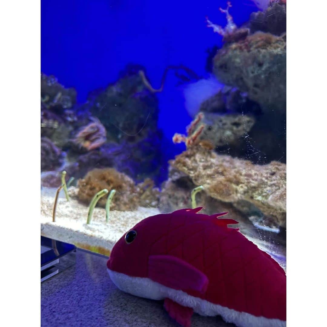 舘谷春香のインスタグラム