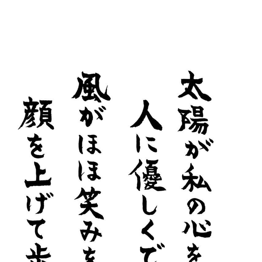 紫舟のインスタグラム