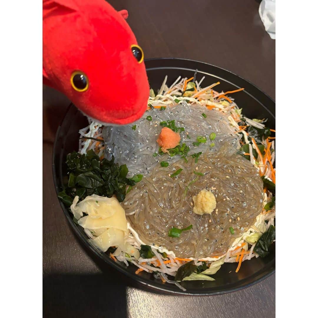 舘谷春香さんのインスタグラム写真 - (舘谷春香Instagram)「江ノ島で生しらす丼も食べました🐟 おいしかった…生しらす2種丼…🐟 タイペイも見てます…🥺  江ノ島観光初めて行ったけど楽しかった！ 神社も巡りました☺️！  #江ノ島 #江ノ島グルメ #江ノ島観光 #江ノ島ランチ #生しらす丼 #生しらす2種丼 #生しらす #しらす #しらす丼 #神奈川 #神奈川観光 #ぬいぐるみ #ぬい撮り #ぬいどり #ぬい旅 #ヌイグルミスト」11月10日 19時56分 - tty0250hrk