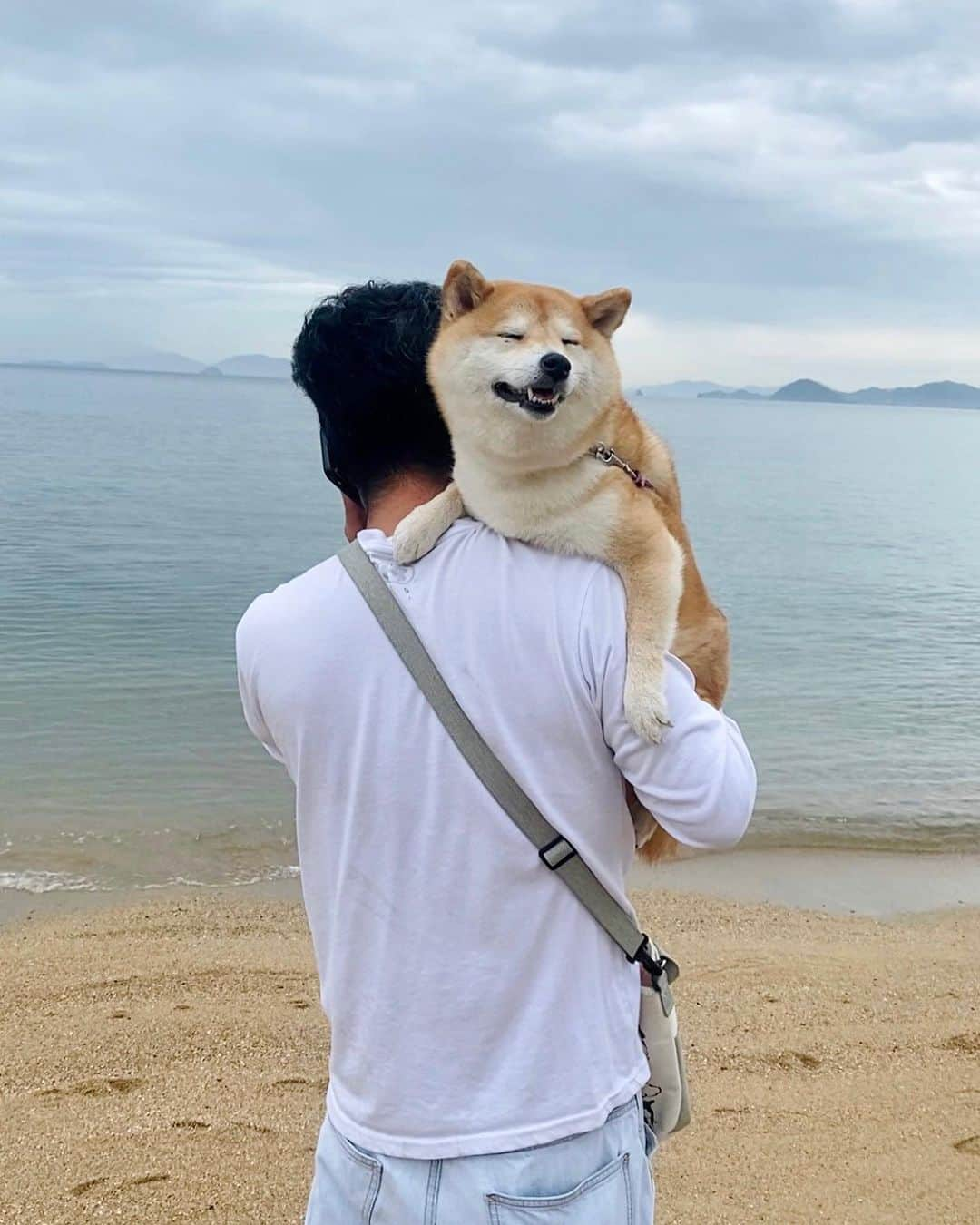 柴犬小雨のインスタグラム：「・ 海んぽー🌊 ・ ・ ・ こさめがパピーの頃。 ばぁばがこさめをスリングに入れて、抱っこ散歩でよく来ていた実家近くの海🏖️ 大きくなってからも、実家に泊まる時はよくここへ来てお散歩したよね。 こさめは今もこの場所が大好き♡ ここへ来るとテンション上がるんです⤴︎ 先日、実家の片付けの際に寄ったんだけど、大喜びでホリホリしたり...よく走りました🐕💨 ・ 私にとっても沢山の思い出が詰まった場所。 また来ようね、こさめ。 ・ ・ 日に日に寂しさが募り、一人になると色々思い出しては涙が出ます。 でも、こさめがいたお陰で動画が沢山残ってて... 母の顔は映ってなくても当時の会話が入ってるので、それを聴くとつい笑ってしまいます。 最後のオマケ、良かったら音声入れて聴いてみて下さい♫ パパがこさめに〝お手おかわり“を教えてるシーンです。 週末、実家に泊まった時はいつもこんな感じで、わちゃわちゃでした😂 楽しかったねぇ〜お母さん！ ・ ・ 母の事で本当に沢山の温かいメッセージ感謝致します。 電話やLINEくれたお友達もありがとう。 「お母様、素敵ですね」 「美人さんですね」 なんて、いっぱいお褒めの言葉もいただいて、母もきっと天国で周りのみんなに自慢してることでしょう。 見ず知らずの方々が、母の為に涙してくれた事、一生忘れません。 ・ そして、母の闘病中、亡くなった後も... 私を支えてくれている家族や友達。 辛い話を聞くのは、相手側にとってもしんどい事だと思います。 それでも、話を逸らすことなく親身になって聞いてくれたこと。 励ましのメッセージをくれたこと。 その事にどれだけ救われたか... 本当に本当に有り難う。 ・ 私は一人っ子で、両親の思い出話ができる相手はそう沢山いません。 なので、たまに此処でお話させてくださいね。 懐かしい映像と共に、楽しく思い返せたらいいなと思います。 ・ ・ さて! また少しずついつもの日常をアップしていきますね♪ 見る人が楽しい気持ちになったり、笑ってくれたり、ホッと癒しの場になる事を目指して続けてきたインスタです。 皆さま、これからもよろしくお願いします🙇‍♀️ ・ ・ ...今回はちょっとだけ弱音吐いちゃったけど、こんな時くらいいいよね笑 みんな本当にありがとう🍀 ・ ・ ・ 平凡で穏やかな日々に感謝して...🙏✨ ・ ・ ・ #shiba_snap #shibamania #petstagram #dog  #shibadog #petstagram #pet #shiba #shibainu #shibaaaaainu #shibastagram #pecoいぬ部 #dogstagram #子犬#仔犬#狗 #犬のいる暮らし #犬のいる生活 #こいぬ#いぬのきもち #豆柴#まめしば#しばいぬ #9gag #しばけん #ペット#小狗#柴犬#犬#柴犬小雨#シバイヌ」