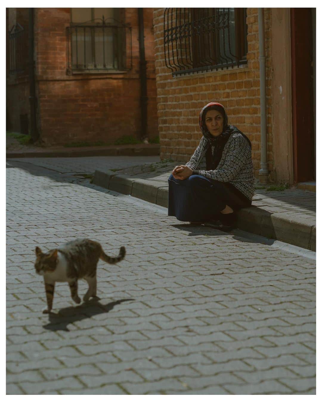 Putri Anindyaさんのインスタグラム写真 - (Putri AnindyaInstagram)「a series of cats in Balat //   Located in Istanbul, Türkiye, this hilly area has one of the most unique houses and ambience. The people are so nice but for me, the nicest of them all are the cats. They are so lovely and not afraid with the people. Most of them are fed by the people in the neighborhood and they do love cats. Which #catphoto that is your favorite here? 🐈✨   #passionpassport #streetphotography #türkiye #gotürkiye #balat #istanbul #sonya7c」11月10日 19時59分 - puanindya