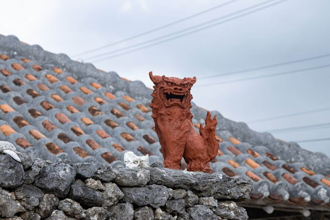 Be.okinawaさんのインスタグラム写真 - (Be.okinawaInstagram)「The Shisa is commonly gifted as a souvenir from Okinawa, but did you know it is actually a lion🦁 considered to be a guardian deity by the locals?  Said to have originated in Egypt, it resembles the sphinx, a symbol of protection for ancient Egyptian kings and gods. Shisa can be found almost everywhere in Okinawa, normally in pairs, from private homes and public facilities to historical properties. You can get your own from souvenir shops and even attend workshops to make your own Shisa, so be sure to bring home your favorite pair!  #japan #okinawa #visitokinawa #okinawajapan #discoverjapan #japantravel #okinawacraft #okinawatradition #okinawaculture #okinawashisa #shisa」11月10日 20時00分 - visitokinawajapan