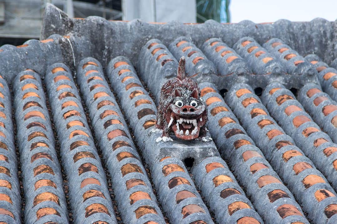 Be.okinawaさんのインスタグラム写真 - (Be.okinawaInstagram)「The Shisa is commonly gifted as a souvenir from Okinawa, but did you know it is actually a lion🦁 considered to be a guardian deity by the locals?  Said to have originated in Egypt, it resembles the sphinx, a symbol of protection for ancient Egyptian kings and gods. Shisa can be found almost everywhere in Okinawa, normally in pairs, from private homes and public facilities to historical properties. You can get your own from souvenir shops and even attend workshops to make your own Shisa, so be sure to bring home your favorite pair!  #japan #okinawa #visitokinawa #okinawajapan #discoverjapan #japantravel #okinawacraft #okinawatradition #okinawaculture #okinawashisa #shisa」11月10日 20時00分 - visitokinawajapan