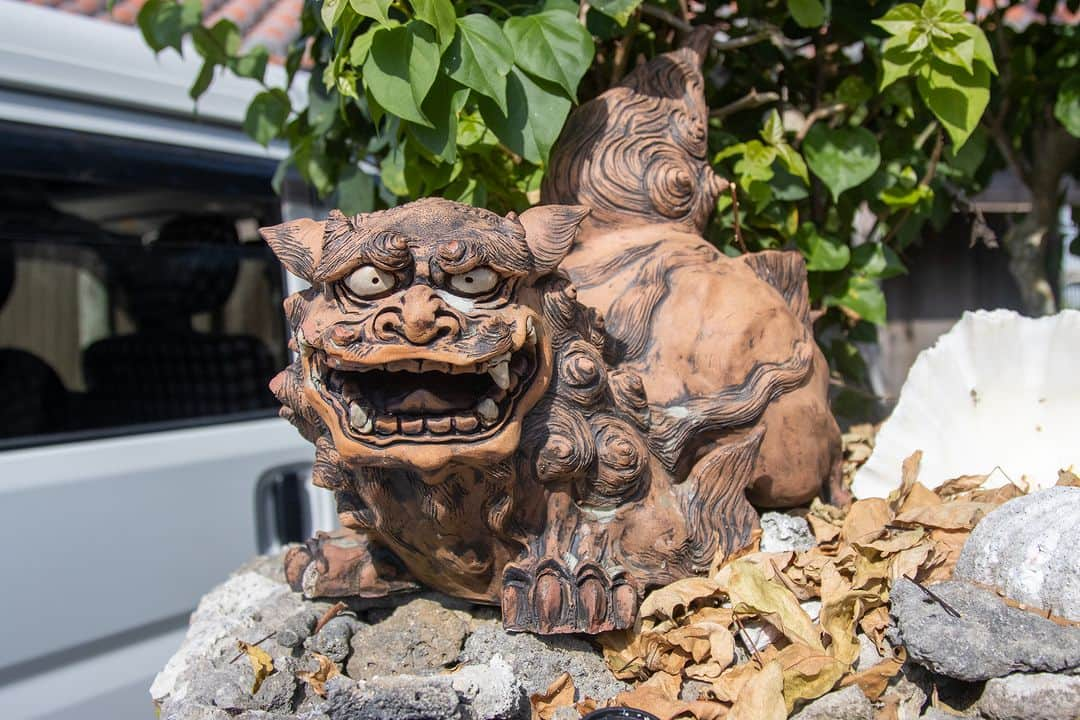 Be.okinawaさんのインスタグラム写真 - (Be.okinawaInstagram)「The Shisa is commonly gifted as a souvenir from Okinawa, but did you know it is actually a lion🦁 considered to be a guardian deity by the locals?  Said to have originated in Egypt, it resembles the sphinx, a symbol of protection for ancient Egyptian kings and gods. Shisa can be found almost everywhere in Okinawa, normally in pairs, from private homes and public facilities to historical properties. You can get your own from souvenir shops and even attend workshops to make your own Shisa, so be sure to bring home your favorite pair!  #japan #okinawa #visitokinawa #okinawajapan #discoverjapan #japantravel #okinawacraft #okinawatradition #okinawaculture #okinawashisa #shisa」11月10日 20時00分 - visitokinawajapan