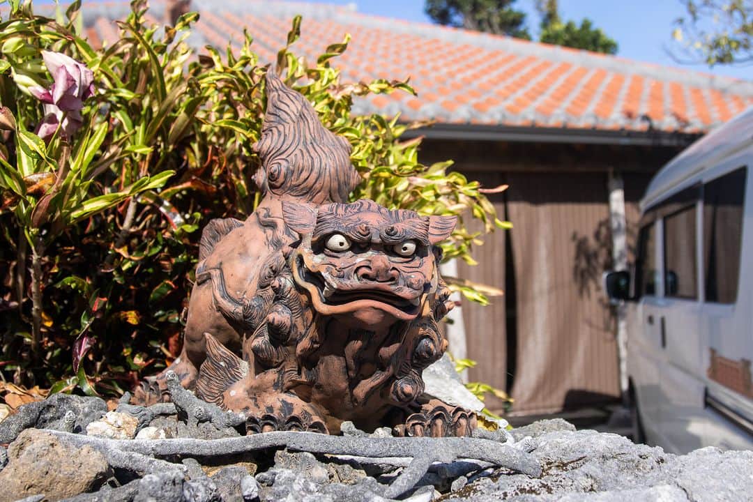Be.okinawaのインスタグラム：「The Shisa is commonly gifted as a souvenir from Okinawa, but did you know it is actually a lion🦁 considered to be a guardian deity by the locals?  Said to have originated in Egypt, it resembles the sphinx, a symbol of protection for ancient Egyptian kings and gods. Shisa can be found almost everywhere in Okinawa, normally in pairs, from private homes and public facilities to historical properties. You can get your own from souvenir shops and even attend workshops to make your own Shisa, so be sure to bring home your favorite pair!  #japan #okinawa #visitokinawa #okinawajapan #discoverjapan #japantravel #okinawacraft #okinawatradition #okinawaculture #okinawashisa #shisa」