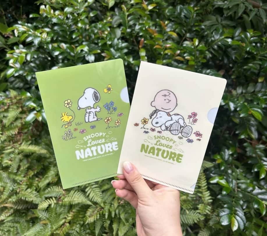 ピーナッツ カフェのインスタグラム：「campaign | PEANUTS Cafe  \ 数量限定 / PEANUTS Cafeをご利用のお客様にミニクリアファイル第二弾を11/14(火)よりプレゼント！  PEANUTS Cafeで税込2000円以上お買い上げのお客様に「SNOOPY Loves NATURE」のミニクリアファイル第二弾をプレゼントいたします！  各店数に限りがありますのでお早めに！  -キャンペーン期間 2023年11月14日(火)～ ※デザインはお選びいただけません。 ※無くなり次第終了となります。 ※飲食、物販、テイクアウト利用が対象  -対象店舗 PEANUTS Cafe 全店舗 PEANUTS DINER 神戸 ※オンラインショップ対象外  店舗の詳細は @peanutscafe_tokyo トップのリンクより、HPショップページにてご確認ください。」
