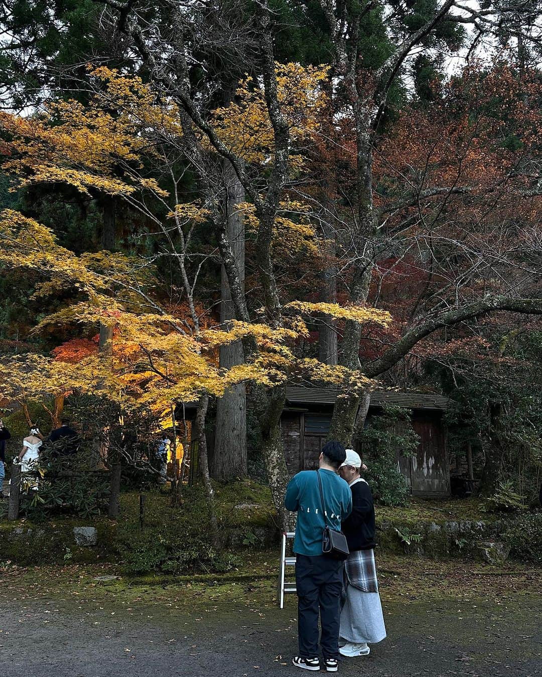 西村麻衣さんのインスタグラム写真 - (西村麻衣Instagram)「🍁」11月10日 20時21分 - maikey1006