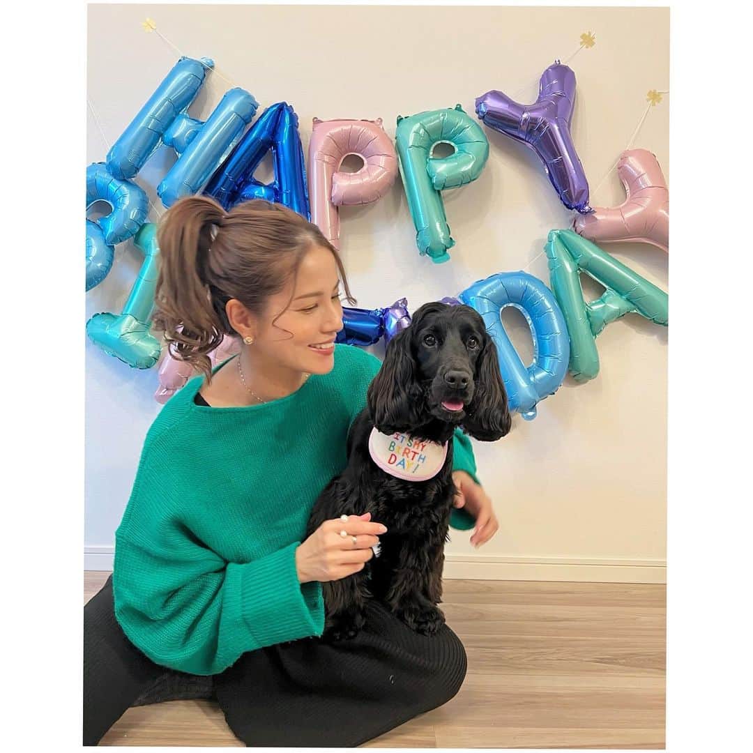 永島優美のインスタグラム：「* 今日で1歳になりました🥳🐾  最初会ったとき、手のひらサイズだったのに… ここまで大きく 天真爛漫に育ってくれて😂✨ 毎日ありがとうの気持ちでいっぱいです🥹❣️  これからは靴下をめぐる追いかけっこが減りますように🤦🏻‍♀️🧦笑 本当に速くて追いつけない🤣  #merci #ありがとう #englishcockerspaniel  #birthday」