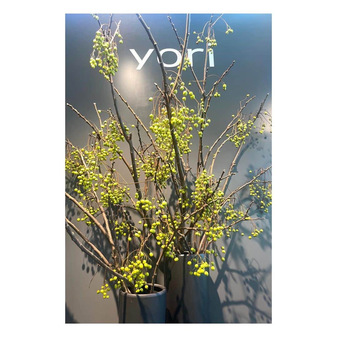 yoriのインスタグラム：「yori 2024 spring 先行受注会at大阪 全日終了致しました。  ご来場の皆様誠に ありがとうございました。  またお会いできることを 楽しみにしております。  来週は東京での開催です。 キャンセル分の予約は 再入荷通知設定に ご登録いただけましたら 入荷時にメールにて お知らせいたしますので 是非ご利用ください。  #yori_japan」