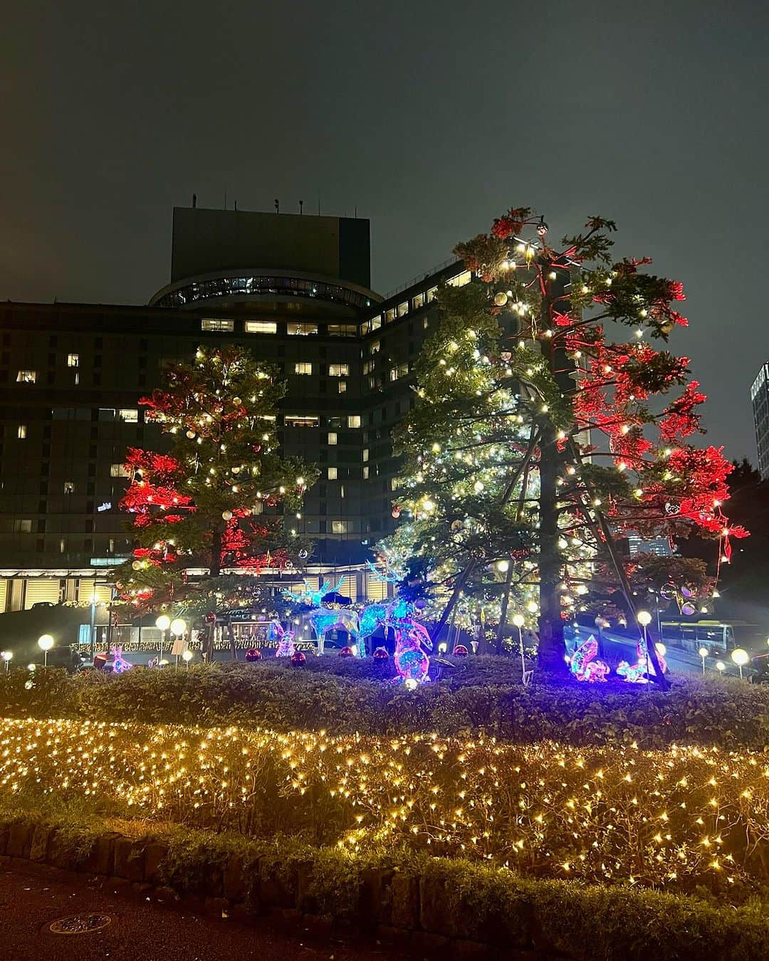 ホテル ニューオータニのインスタグラム：「【本日よりメインツリー点灯🎄💫】  本日よりザ・メイン 正面玄関前の #クリスマスツリー が点灯しました。自生する3本のモミの木に約7,000球ものLEDが施されています。カラフルに移り変わる色合いにもご注目ください。  これからのクリスマスシーズンに向けて、敷地内には大小30のクリスマスツリーが順次登場予定です。  ひと足先にホリデー気分を感じにいらしてください。  ◇詳細は @hotelnewotanitokyo プロフィールのURLより、「CHRISTMAS」リンクをタップ👆  🌟ウィンターイルミネーション 都内ホテル最大級、総延長約10㎞、13万球のイルミネーション✨  期間 ホテル外周イルミネーション：2024年2月29日（木）まで＜予定＞ メインツリー：12月25日（月）まで＜予定＞  時間 16:00～26:00 * 場所により異なります 料金 鑑賞無料 場所 ホテル敷地内  #イルミネーション #クリスマスツリー #クリスマス #クリスマスイブ #クリスマスケーキ #クリスマスディナー #クリスマスパーティ #christmas #xmas #ホテル #東京ホテル #ホテルステイ  #ホテルニューオータニ #ニューオータニ #hotelnewotani #newotani  #tokyo #japan #tokyotrip  #tokyotravel #tokyohotel #hotelstay #virtualtour #forbestravelguide #futuretravelguide #thepreferredlife」