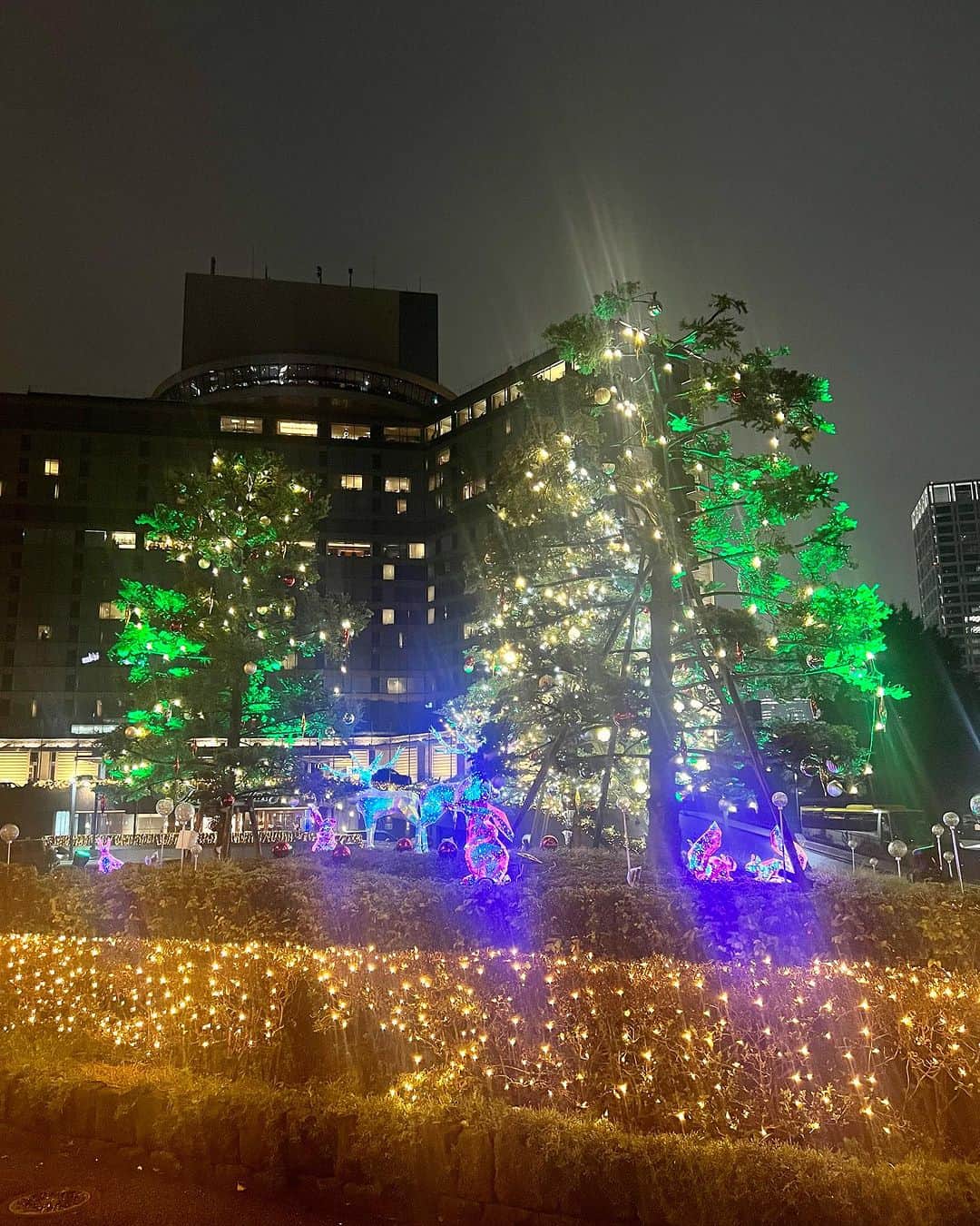 ホテル ニューオータニさんのインスタグラム写真 - (ホテル ニューオータニInstagram)「【本日よりメインツリー点灯🎄💫】  本日よりザ・メイン 正面玄関前の #クリスマスツリー が点灯しました。自生する3本のモミの木に約7,000球ものLEDが施されています。カラフルに移り変わる色合いにもご注目ください。  これからのクリスマスシーズンに向けて、敷地内には大小30のクリスマスツリーが順次登場予定です。  ひと足先にホリデー気分を感じにいらしてください。  ◇詳細は @hotelnewotanitokyo プロフィールのURLより、「CHRISTMAS」リンクをタップ👆  🌟ウィンターイルミネーション 都内ホテル最大級、総延長約10㎞、13万球のイルミネーション✨  期間 ホテル外周イルミネーション：2024年2月29日（木）まで＜予定＞ メインツリー：12月25日（月）まで＜予定＞  時間 16:00～26:00 * 場所により異なります 料金 鑑賞無料 場所 ホテル敷地内  #イルミネーション #クリスマスツリー #クリスマス #クリスマスイブ #クリスマスケーキ #クリスマスディナー #クリスマスパーティ #christmas #xmas #ホテル #東京ホテル #ホテルステイ  #ホテルニューオータニ #ニューオータニ #hotelnewotani #newotani  #tokyo #japan #tokyotrip  #tokyotravel #tokyohotel #hotelstay #virtualtour #forbestravelguide #futuretravelguide #thepreferredlife」11月10日 20時48分 - hotelnewotanitokyo