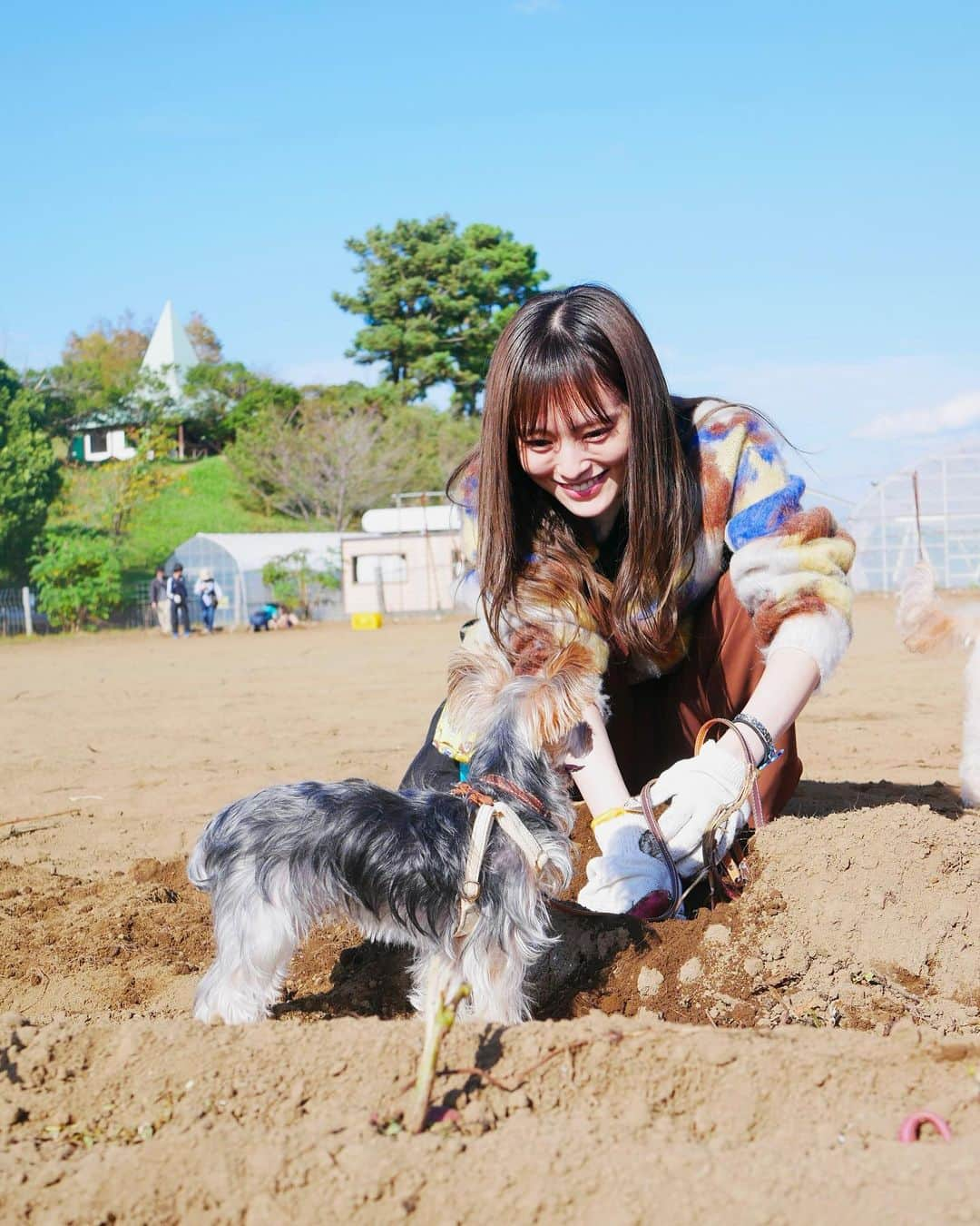 山本彩のインスタグラム：「⁡ ちょっと時間経っちゃったけど 先月、わんこと出来る芋堀り体験して来たよ🥰🍠🍁🍂 ⁡ 小学生ぶり位の芋堀りってだけでテンション上がるのに わんこも一緒に出来るなんて最高🥹👏 ⁡ 凛音は興味津々でクンクンしてたものの ホリホリはしなかった🐶(笑) ⁡ いい秋の思い出になりました☺️📷💭 ̖́- ⁡ 最後の写真は持って帰ったお芋で作った大学芋☺️🍴 出来たての大学芋の美味しさに震えた🥹✨」