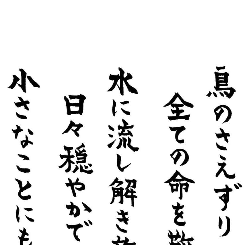 紫舟のインスタグラム：「#禅坊 #靖寧 #書写」