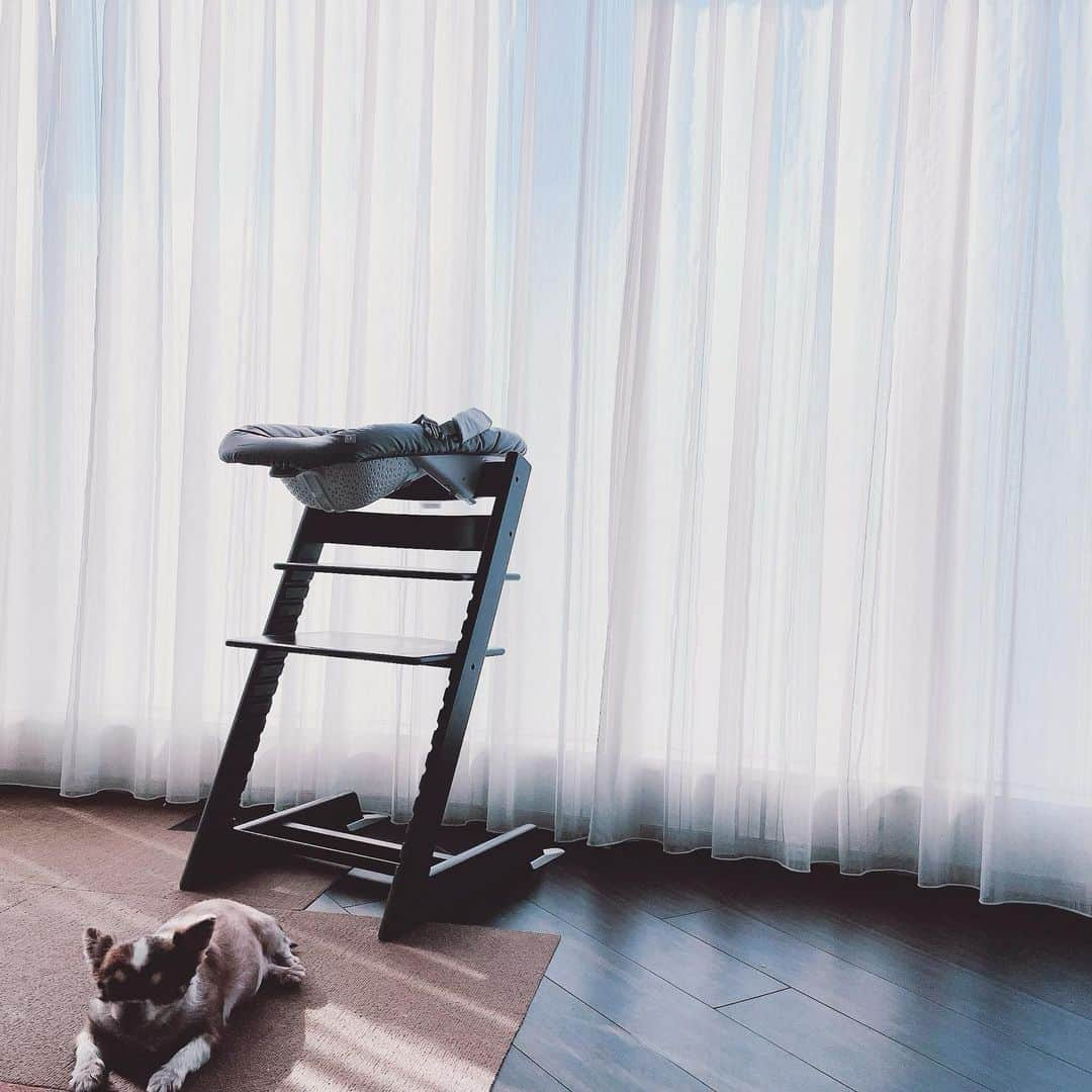 Stokke Japanさんのインスタグラム写真 - (Stokke JapanInstagram)「ニューボーンセットのご愛用者様の声をご紹介します。  📷 @re.0922   ---------------------------------- ストッケのトリップトラップ　ニューボーンセットは、買ってよかったと思えるアイテムNo.1です💎✨✨  今の今まで、本当にお世話になってます！！ ----------------------------------  ニューボーンセットはトリップ トラップに付ける新生児用シート。赤ちゃんが高い位置に来るのでコミュニケーションも取りやすく、家族一緒にテーブルを囲めるすぐれものです。  #ストッケ #トリップトラップ #ニューボーンセット #新生児 #出産準備 #ストッケのある暮らし #トリップトラップのある暮らし」11月10日 21時00分 - stokkejapan