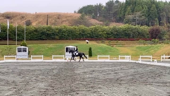 林伸伍のインスタグラム：「全日本馬場馬術大会初日 全日本選手権　グランプリ規定演技 スコラリ67.804%  1位  インターメディエイト1 ジャンバラヤ　67.588% 予選2位  ４課目 イヴ・ファン・デ・カッペルホフ 70.400% 予選1位 でした🫡  悪天候の中みんな頑張ってくれました😊 動画は70%超えのイヴ君です  @_y.u.2.8_」