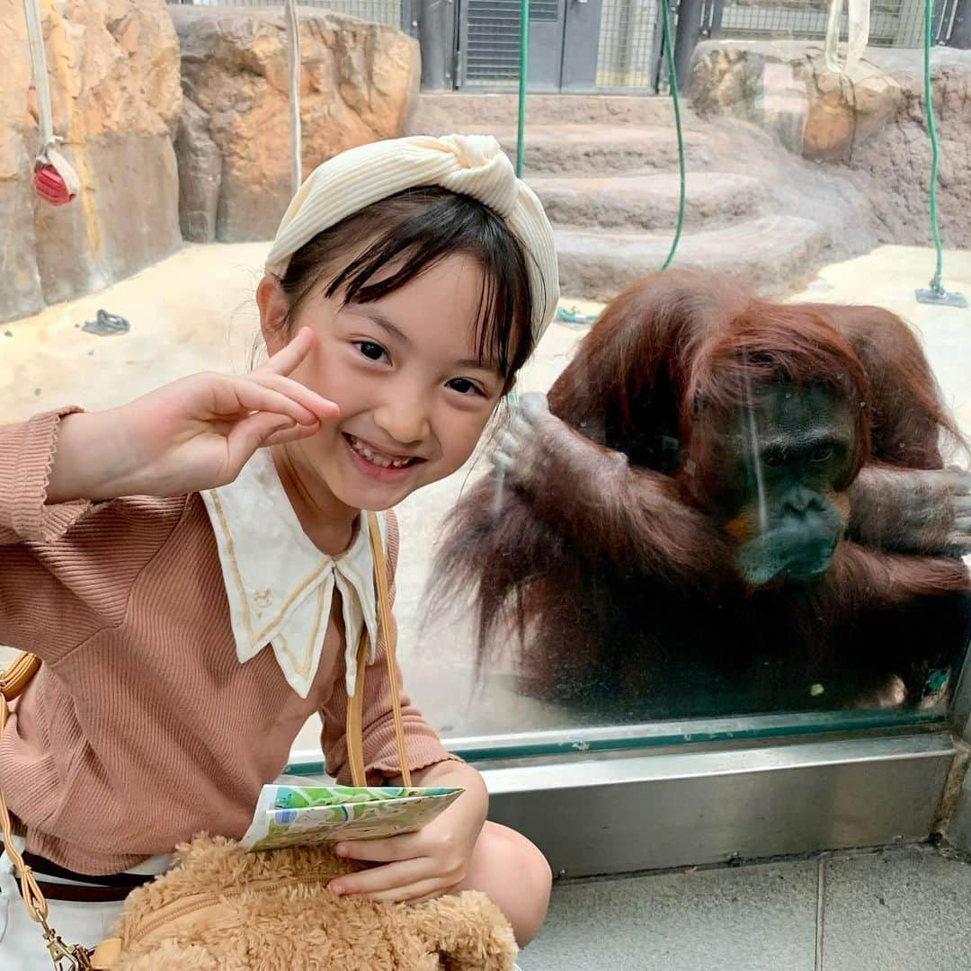 satomiのインスタグラム：「🦧🐘🦒  久しぶりに動物園へ🤍🤍  外で遊ぶのにいい季節になったな😆 秋花粉さえなければ最高なのに！  たくさん歩いて大人はヘトヘトだったけど 子供たちは帰宅してからも ずーーっと元気でした🤭✨✨  #8歳 #1歳10ヶ月 #生後22ヶ月 #令和3年ベビー #6歳差 #6歳差姉弟 #姉弟 #小学生 #小学2年生 #小2 #riina93linkcode #リンクコーデ  #姉弟コーデ #姉弟リンクコーデ #親子リンクコーデ #淡色コーデ #プチプラコーデ  #お揃いコーデ  #動物園」