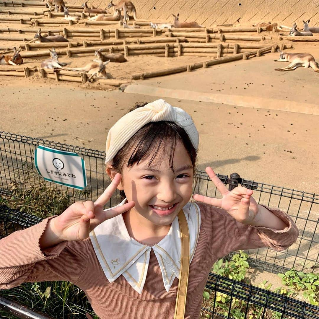 satomiさんのインスタグラム写真 - (satomiInstagram)「🦧🐘🦒  久しぶりに動物園へ🤍🤍  外で遊ぶのにいい季節になったな😆 秋花粉さえなければ最高なのに！  たくさん歩いて大人はヘトヘトだったけど 子供たちは帰宅してからも ずーーっと元気でした🤭✨✨  #8歳 #1歳10ヶ月 #生後22ヶ月 #令和3年ベビー #6歳差 #6歳差姉弟 #姉弟 #小学生 #小学2年生 #小2 #riina93linkcode #リンクコーデ  #姉弟コーデ #姉弟リンクコーデ #親子リンクコーデ #淡色コーデ #プチプラコーデ  #お揃いコーデ  #動物園」11月10日 21時20分 - riina.93