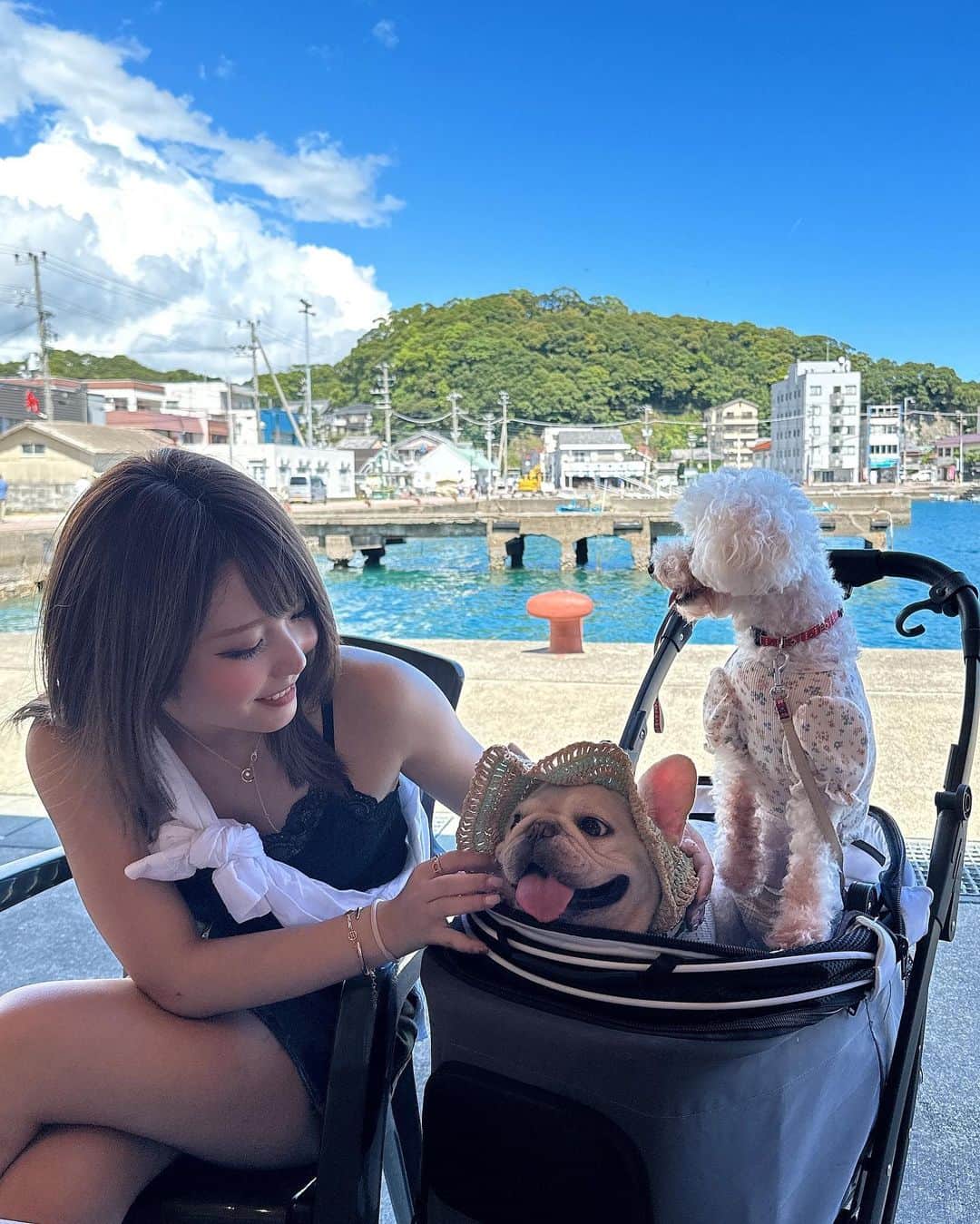 かのあい。のインスタグラム：「真夏の思い出〜💕 大好きな写真っ！！ 天気も良すぎ🌤 #フレブル #愛犬との暮らし」