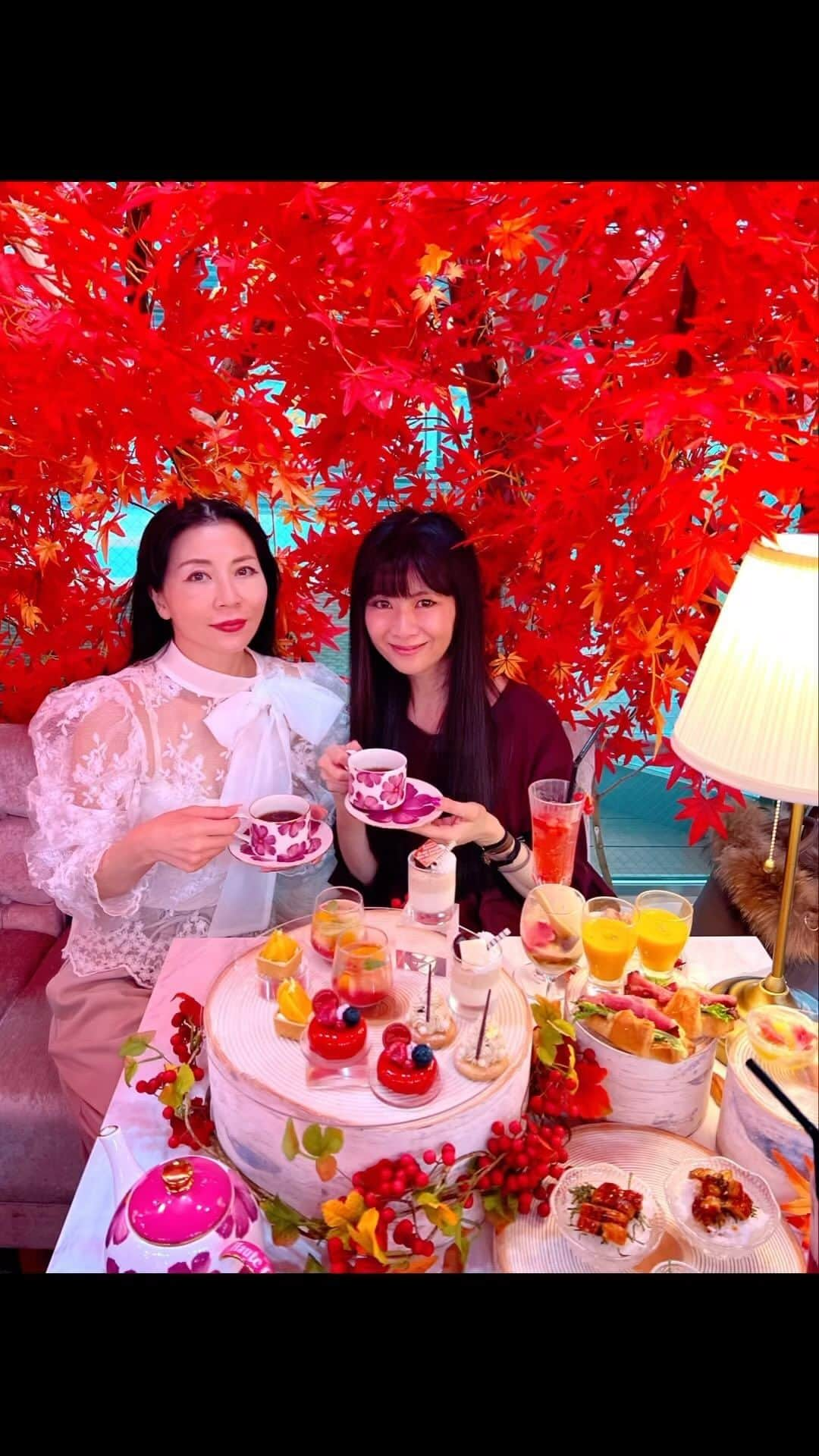 外村美姫のインスタグラム：「表参道徒歩2分のHAUTE COUTURE CAFE OMOTESANDOで、真っ赤な紅葉に囲まれて!!11/8からスタートしている 【Maron and Fruits Afternoon Tea】へ。 @shi4arai  志保ちゃん、ありがとうでした〜〜〜。  内装もBeautyful!!室内で紅葉が楽しめます。白樺のテーブルセッティングに真っ赤な紅葉。今回は26日間の開催という、オータムシーズン限定アフタヌーンティー。  11/8～12/3期間限定  Maron and Fruits Afternoon Tea  5,300円 (税込)～  贅沢なアフタヌーンティは、スイーツだけでなく、お食事も含まれてて、大満足の内容。綺麗でしかも味も美味しいアフタヌーンティは希少価値。メニューにもお花がついてて、可愛さ感動級。  ▶Parfait 巨峰とカシスとキャラメルのパルフェ スイーツの甘さとフルーツの爽やかさが絶妙。 ▶Autumn red berry soda  フランボワーズピューレとベリーがたっぷり!!  熊本阿蘇産和栗、お芋、かぼちゃ、巨峰、カシス、和梨、洋梨、柿など秋の味覚を存分に楽しめる贅沢なアフタヌーンティーです。 バラエティ豊かなスイーツはもちろん、お食事も充実。ローストビーフととろけるチーズのサンドイッチに、かぼちゃスープ。ひつまぶしにはお出汁を掛けて。豚肉のコンフィきのこソースもお肉がとろとろ、柔らかく煮込まれ、 最高の味わいでした。ご馳走様でした。  フリードリンクで、コーヒーや紅茶と共に、秋のスイーツを思う存分に味わえます。美しい紅葉はは目にもご馳走。最高すぎたよ～。 12/3までの26日間限定の内装とアフタヌーンティー。こちらは連日予約が取れない程の人気店なので、行かれる方は早めに予約されて下さい。  HAUTE COTURE CAFE omotesando 東京都港区北青山３丁目９−１９ 表参道391ANNEX2階 https://instagram.com/hautecouturecafe_official  @hautecouturecafe_official #hautecouturecafeomotesandou #hautecouturecafe　#オートクチュールカフェ表参道 #オートクチュールカフェ #アフタヌーンティー #afternoontea #ヌン活 #表参道 #外村美姫 #スイーツ #カフェ #カフェ巡り #cafè #カフェ部 #カフェ活 #カフェタイム #カフェ好き #カフェスタグラム #ティータイム #グルメ #カフェランチ #アフタヌーンティ #アフタヌーンティーセット #アフタヌーンティー巡り #かぼちゃ #巨峰 #カシス #梨 #柿 #栗」