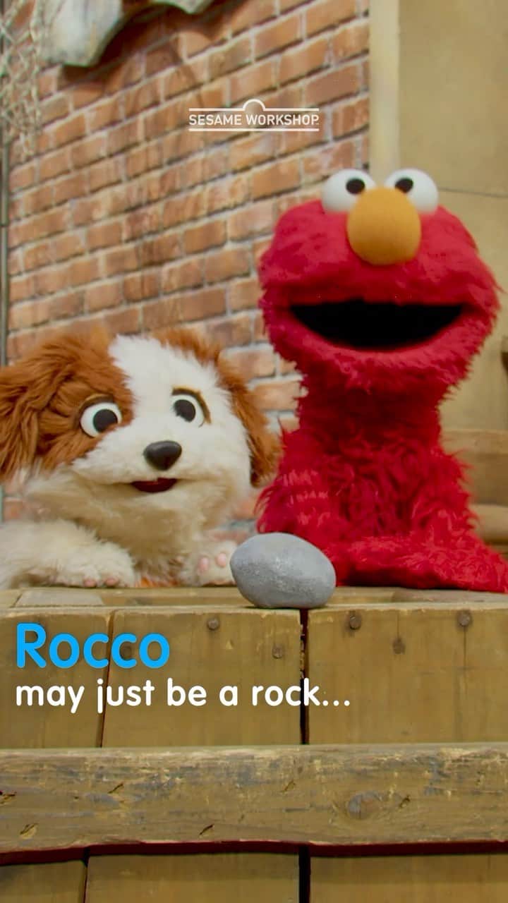 セサミストリートのインスタグラム：「Rocco may be just a rock, but Sesame Workshop is so much more than Sesame Street. We’re a global nonprofit present in more than 150 countries, dedicated to our mission of helping children everywhere grow smarter, stronger, and kinder. #SesameStreetDay」