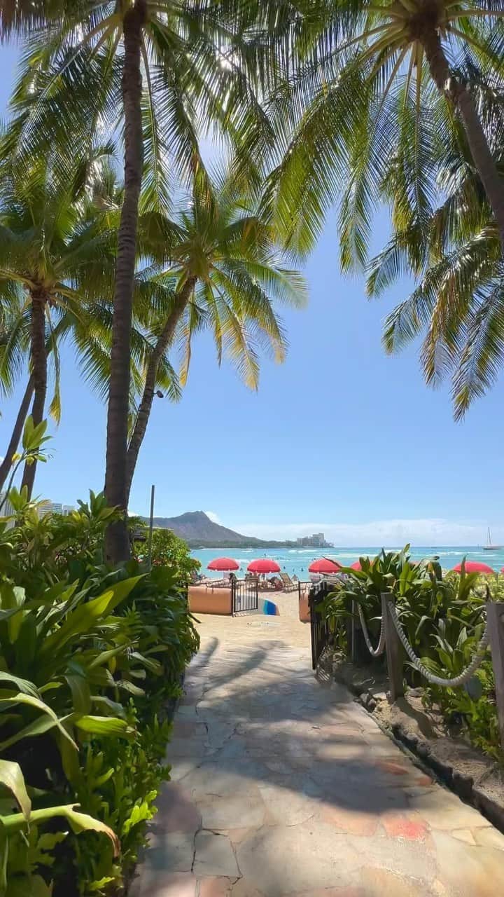 Belle Vie Hawaiiのインスタグラム：「シェラトンワイキキのプールサイドから ワイキキビーチへ🏖️  天蓋付きのカバナで優雅に過ごすのも、 ビーチで思いっきり太陽を浴びるのも、 どちらも気持ちよさそう〜😍  皆様、楽しい週末を🌺  ＼本日インスタライブ配信／ 日本時間11月11日(土)午前11時スタート▶️ リニューアル商品やスタッフ注目商品などをご紹介😃 現在のワイキキの様子なども交え、 ご質問やリクエストにもリアルタイムでお答えしていきます❣️  【お得情報】 ベルヴィーのオリジナルオイルが今だけ20%オフ セール対象商品:  -100%ピュア・マルラオイル -100%ピュア・ククイオイル -100%オーガニック・アルガンオイル -マルラオイルwithラベンダー&ティーツリーオイル -アンチセルライト・マッサージオイル -ハワイの香りのマッサージオイル クーポンコード: BVOIL2  セール期間:11月11日(土)まで ※WEB本日最終日🏃‍♀️/店頭明日まで ※WEB注文は上記クーポン使用で割引適用  店頭営業時間: 10am-9pm 無休 上記以外にも店頭だけのお買い得商品多数あり🤙 詳しくは店頭でお尋ねください  Open Daily 10am-9pm Instagram in English @belleviehawaii.en  #sheratonwaikiki  #alohafriday  #シェラトンワイキキ  #ワイキキビーチ  #ダイヤモンドヘッド  #プールサイド  #アロハフライデー  #ハワイ旅行  #ハワイ好きな人と繋がりたい」