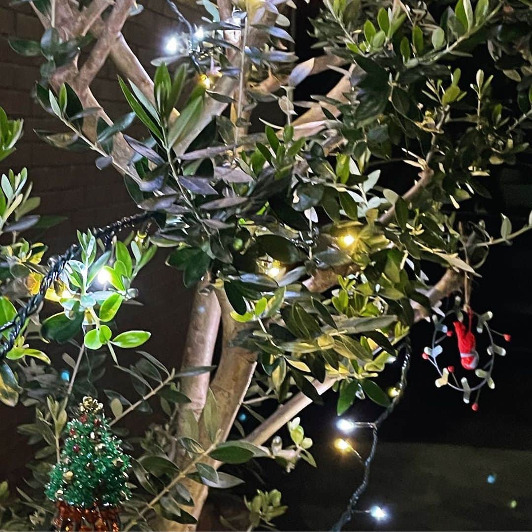 石丸幹二さんのインスタグラム写真 - (石丸幹二Instagram)「今年もクリスマスのビッグイベントが近づいてきた。ウエスティンホテル大阪→帝国ホテル東京→名古屋マリオットアソシアホテルでのディナーショー。心をチアアップし、期待度を高めてもらうため、これからの1ヶ月、小さなクリスマスを見つけていこう。 #石丸幹二 #クリスマスディナーショー」11月10日 23時27分 - team_kanji_ishimaru