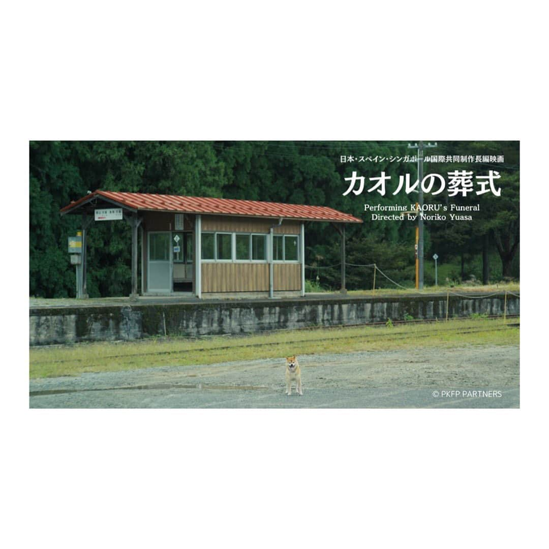 黒沢あすかさんのインスタグラム写真 - (黒沢あすかInstagram)「岡山県北・苫田郡鏡野町に位置する #宝樹寺 を舞台にした映画『#カオルの葬式』（#湯浅典子監督作品）は、古来から続く葬儀の様子と人々の生き様を鮮やかに描いた作品です。  12月8日(金) #岡山メルパ にて先行上映。 本作のテーマは「死ぬことは、生きること」  私は＂向島貴子役＂で出演しています。 一木香乃さんが演じる主人公＂鷲巣カオル＂とは旧知の仲。  向島貴子の横顔は何を秘めているのか。  ご興味を持たれましたら是非、劇場へお越しくださいませ。  @okayamamerpa   #カオルの葬式  #PerfomingKaorusFuneral #湯浅典子監督作品 #日本スペインシンガポール国際共同制作   #新津ちせ  #関幸治 #一木香乃 #川添野愛  #森恵美 #原田大二郎   #向島貴子役 #黒沢あすか」11月10日 23時28分 - kurosawa_asuka_official