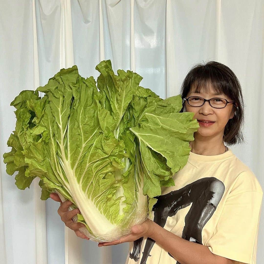 田中美佐子さんのインスタグラム写真 - (田中美佐子Instagram)「見てー！この白菜🥬 でっかい！ しかも水分たっぷりで重い！ 葉を取る時、パキン！パキン！と簡単に折れてしまうほど、新鮮です。 白菜祭り、、始まる予感。 今日は鍋にしました。煮てしまうとこんなにも少なくなってしまったからご飯は大盛りで^_^  今日は娘とテニスの試合に行ってきたけど、雨で途中で中止に。初めていつものレベルより一つ上のところに行ってきました。 競っていたゲームだったから（勝手に競っていたつもり😅😅😅）、残念だったなー。😆 中止になればなんとでも言える👍👍笑笑笑。 中止になっちゃったけど、いいこともありました！ 　ゲームの最中にストレートに打たれたボールを私が取れなくて、娘ちゃんが走っていってロブで返してくれた。結構相手のストレート、速めのボールでした。私は絶対に間に合わないと思っていたのに、取ってくれた！ 走った勢いで金網のフェンスに思い切りぶつかった娘ちゃんはその反動でコート内にすごい速さで戻ってきた！ （その間私は足音とぶつかる音と聞きながら、チラ見はしたけどすぐに前を向いて構えてました^_^） 対戦ペアがそのロブをグランドスマッシュ！ 決まったかと思いきや、娘ちゃんがストレートにシュパっと打ってくれて、私はそこだけでもう感動していたんですが、返ってきたボールが私のところにやってきました。 娘が取ってくれたボール！ ありがとう！の気持ちを込めてボレーさせてもらいました。決まったー！ 何よりも最高の１点でした。 テニス歴10年。 嬉しかったことはたくさんあったけど、今日のその１点が一番嬉しかったことです。 娘には「あなたは最高だったで賞！」と「めちゃいいスピンロブだったで賞！」「ほんとによく走ったで賞」をプレゼントしました。いやー、ほんとにすごかった。スピンロブもオンラインで決めてくれたのも何個かありましたー！ 雨の帰り道、2人でそのシーンを何度も振り返り、すごかったねーと盛り上がりました^_^ 娘ちゃんは「フェンスがなかったら、戻れなかったわー。あの反動がなかったら、あの１点はなかったかも」とフェンスに感謝してました。 フェンスありがとう💕？？  いやいや！ 娘ちゃん、記念に残る１点をありがとう💓  そして、最後の写真は雲が綺麗だったいつかの夕方の写真です。^_^  #無農薬野菜#農業実践教室#野菜#美味しい#白菜#鍋#テニス#大好き」11月10日 23時52分 - tanakamisako_