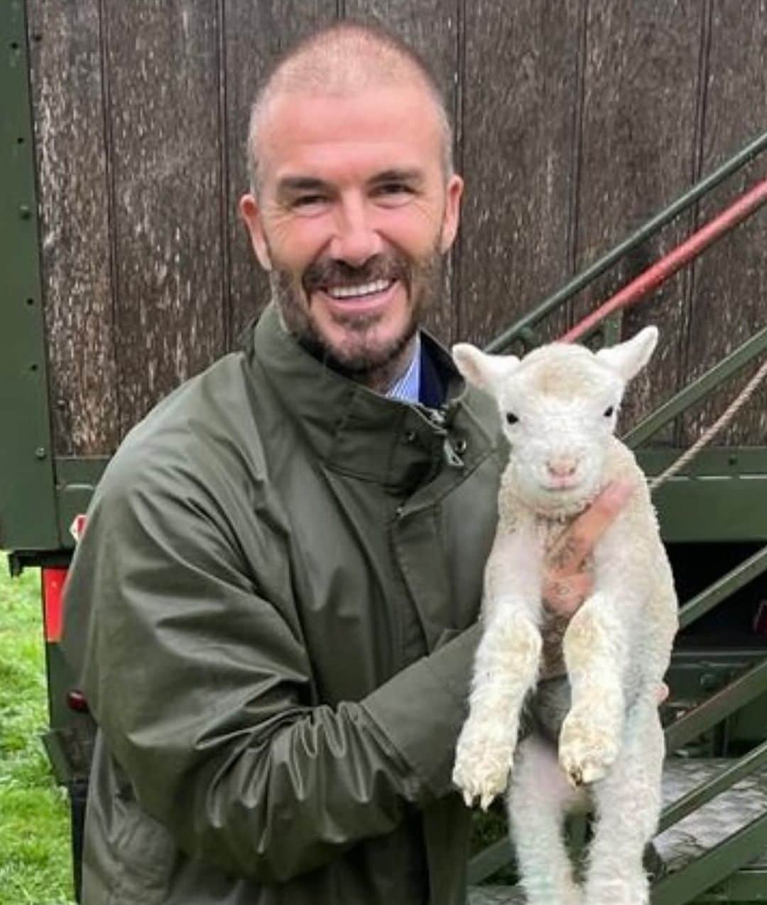 デビッド・ベッカムのインスタグラム：「Found a little friend in the country 🐑 And no HarperSeven sorry we can’t keep it 🩷 we have enough G.O.A.Ts right now 🖤🩷 @intermiamicf」