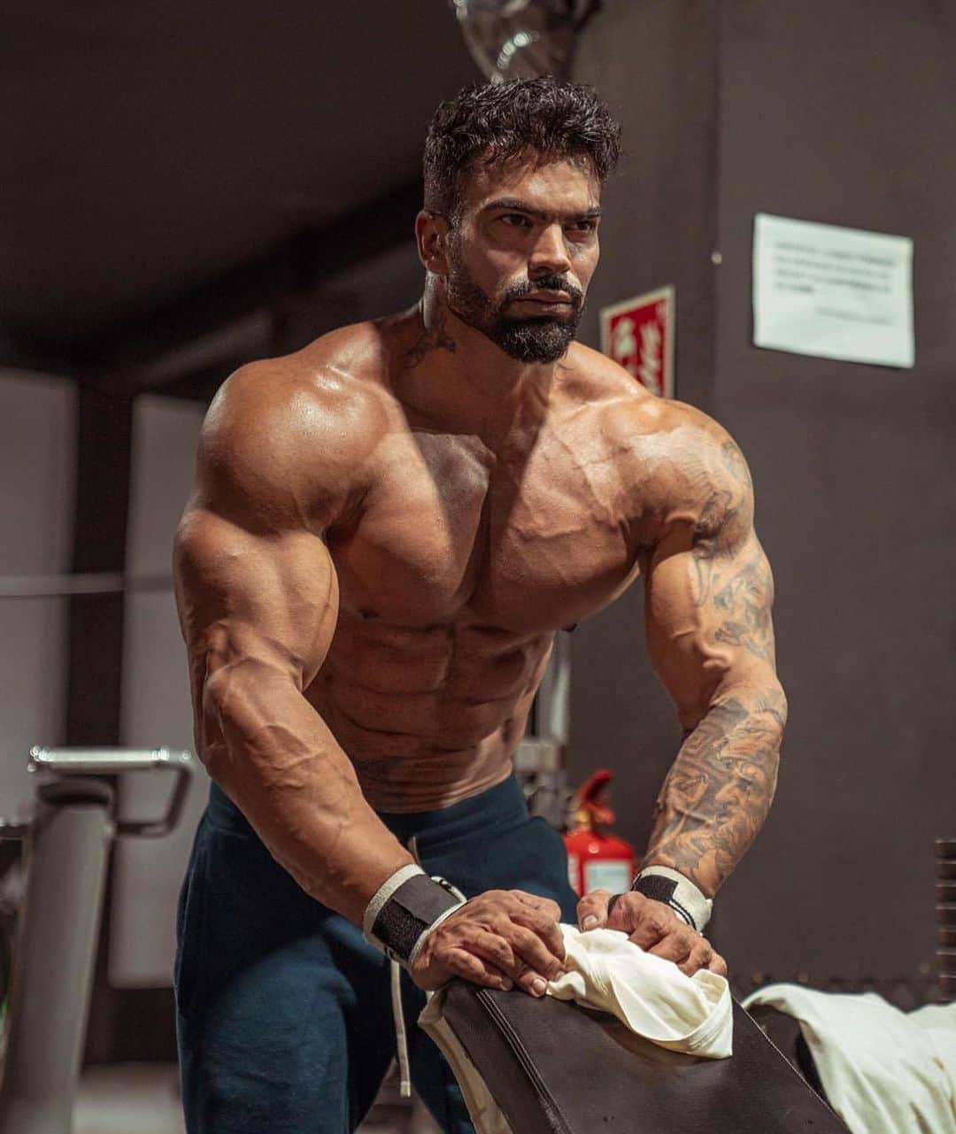 Sergi Constanceさんのインスタグラム写真 - (Sergi ConstanceInstagram)「#focus」11月11日 0時50分 - sergiconstance