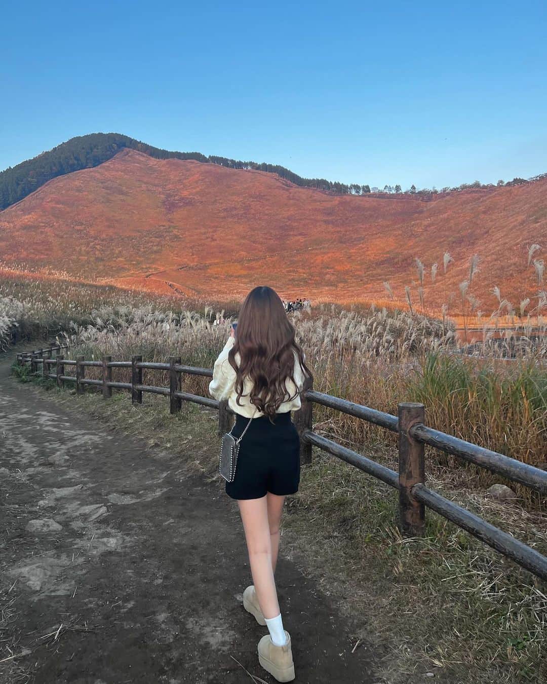 のインスタグラム：「16:30がベストすぎる🌼」