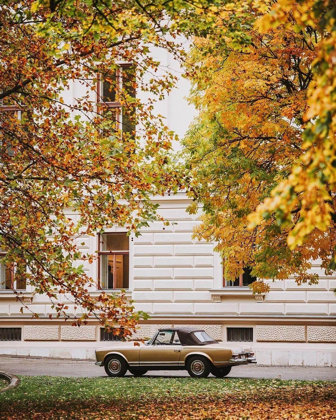 Wien | Viennaさんのインスタグラム写真 - (Wien | ViennaInstagram)「Did you catch a glimpse of the beautiful autumn colours in #Vienna this year? 🍂🍁😍 by @chaulafanita #ViennaNow  #vienna #wien #vienna_austria #viennagoforit #visitvienna #ilovevienna #wienliebe #autumn #autumnlove #autumncolours」11月11日 1時49分 - viennatouristboard