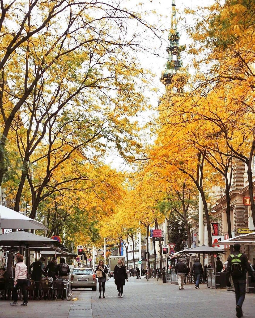 Wien | Viennaさんのインスタグラム写真 - (Wien | ViennaInstagram)「Did you catch a glimpse of the beautiful autumn colours in #Vienna this year? 🍂🍁😍 by @chaulafanita #ViennaNow  #vienna #wien #vienna_austria #viennagoforit #visitvienna #ilovevienna #wienliebe #autumn #autumnlove #autumncolours」11月11日 1時49分 - viennatouristboard