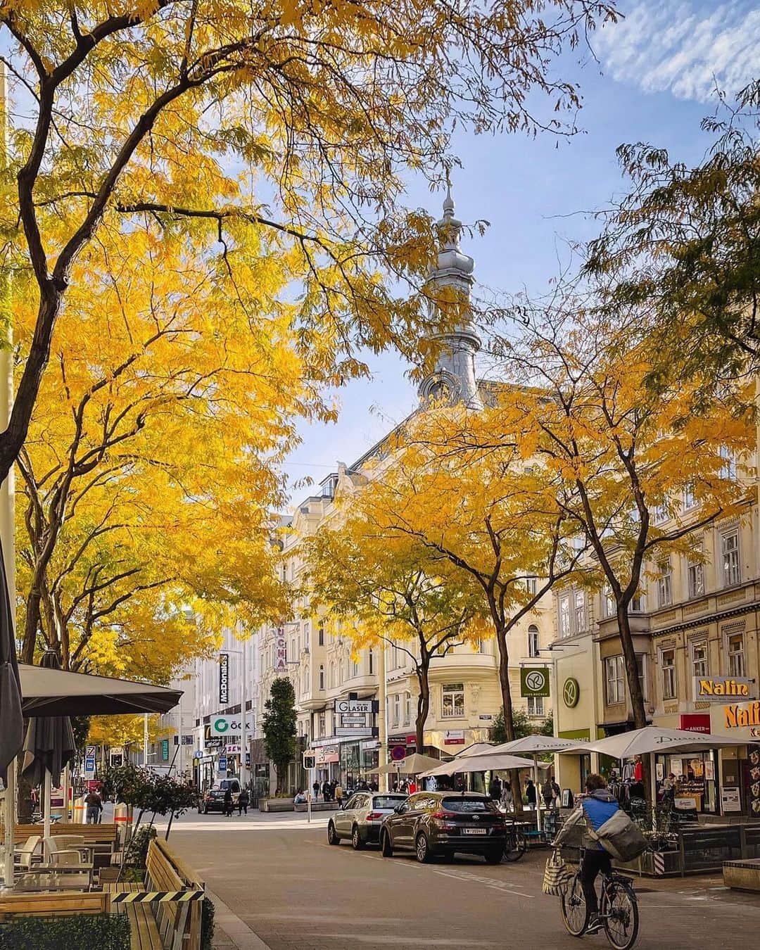 Wien | Viennaさんのインスタグラム写真 - (Wien | ViennaInstagram)「Did you catch a glimpse of the beautiful autumn colours in #Vienna this year? 🍂🍁😍 by @chaulafanita #ViennaNow  #vienna #wien #vienna_austria #viennagoforit #visitvienna #ilovevienna #wienliebe #autumn #autumnlove #autumncolours」11月11日 1時49分 - viennatouristboard