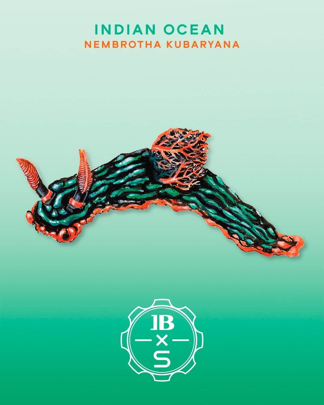 Swatchのインスタグラム：「The contrasting colors of the INDIAN OCEAN model give rise to images of coral reefs abundant with marine life, including the Nembrotha Kubaryana nudibranch which can be found on the back #ScubaFiftyFathoms #SwatchxBlancpain #Swatch」
