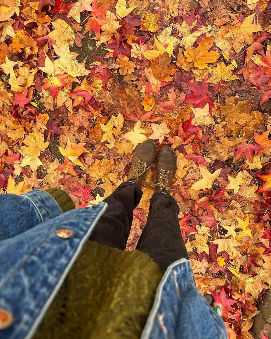 Acacia Brinleyさんのインスタグラム写真 - (Acacia BrinleyInstagram)「This is some top tier fall!!! 🍁🍂🕯️」11月11日 2時03分 - acaciakersey