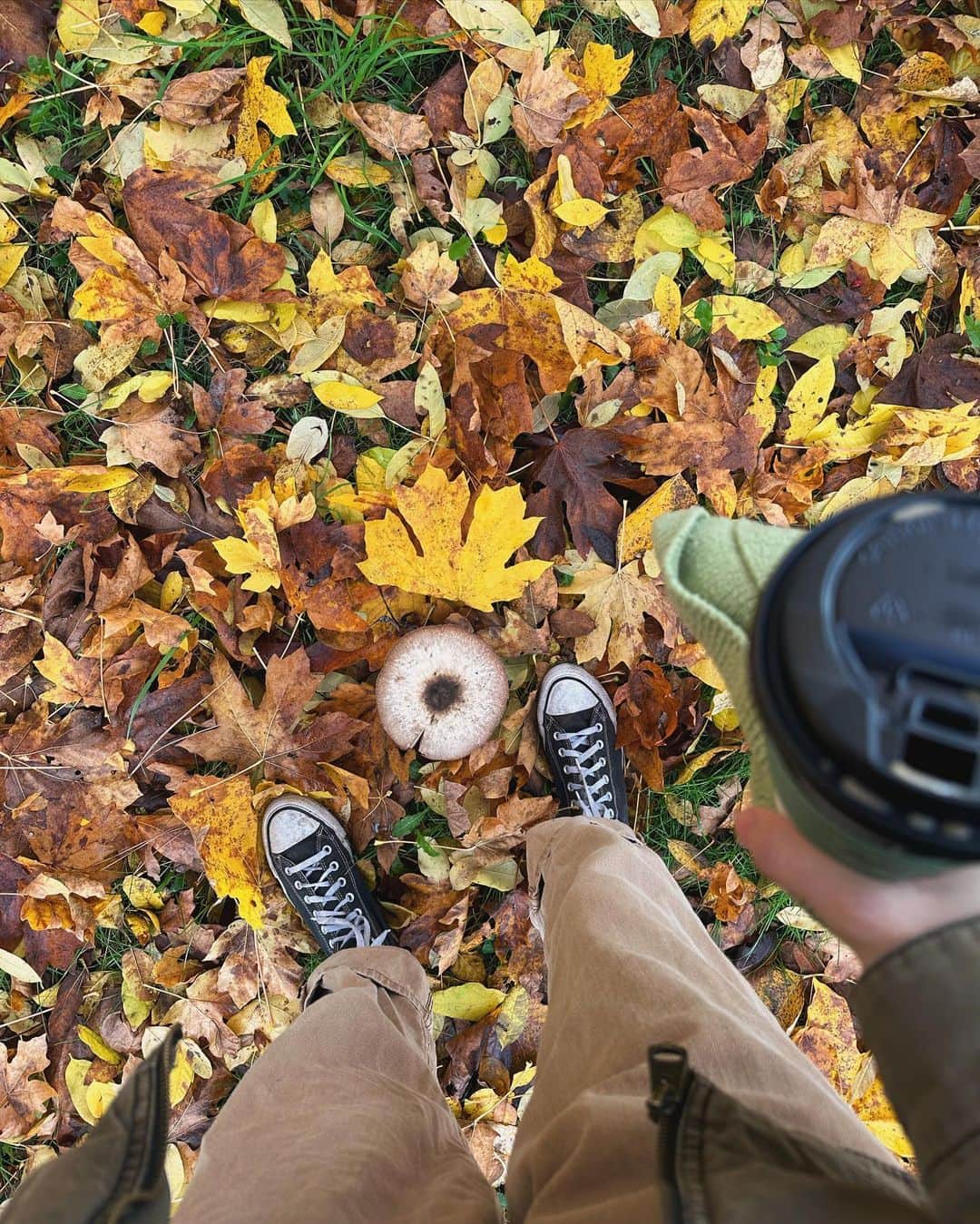 Acacia Brinleyさんのインスタグラム写真 - (Acacia BrinleyInstagram)「This is some top tier fall!!! 🍁🍂🕯️」11月11日 2時03分 - acaciakersey
