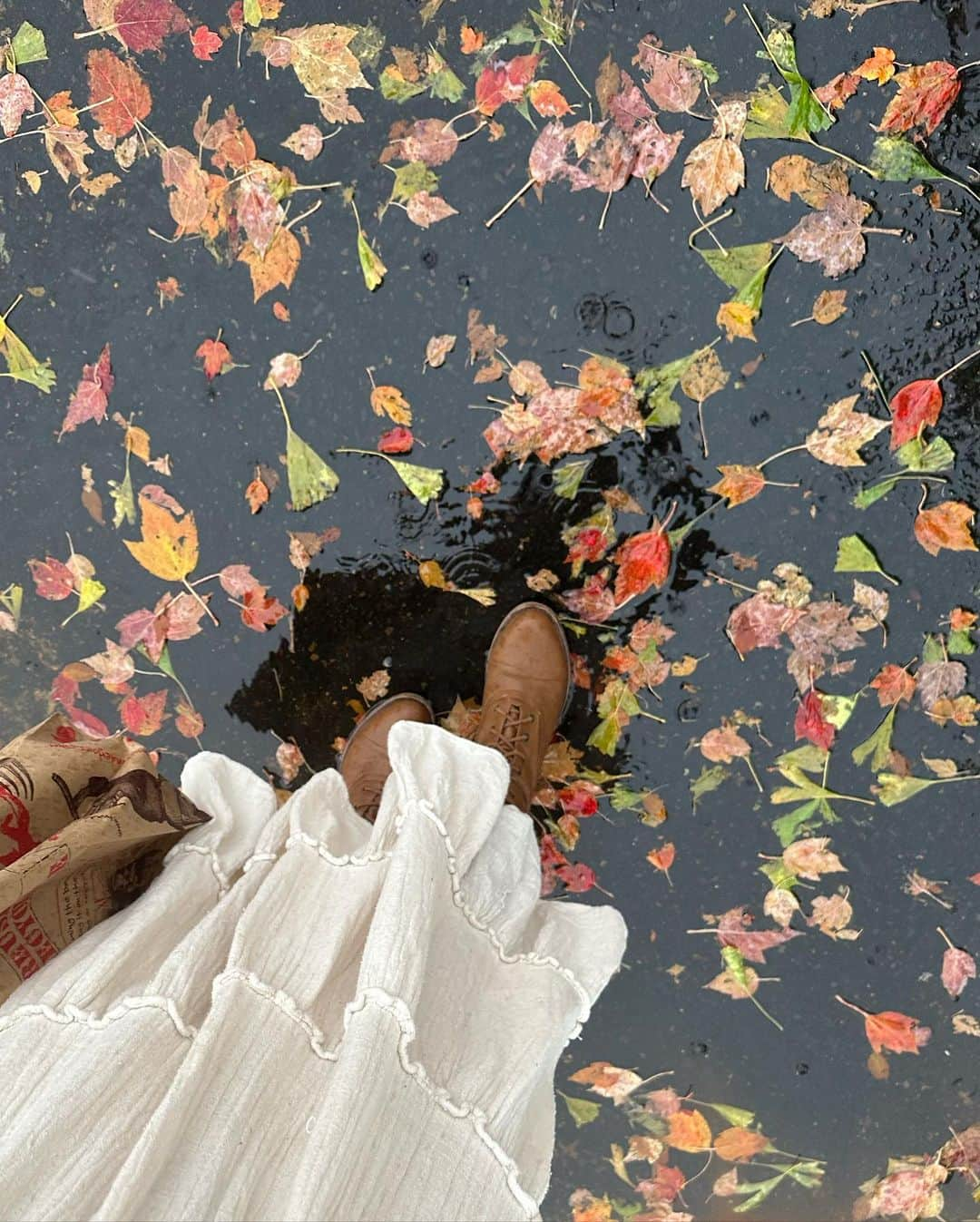 Acacia Brinleyさんのインスタグラム写真 - (Acacia BrinleyInstagram)「This is some top tier fall!!! 🍁🍂🕯️」11月11日 2時03分 - acaciakersey