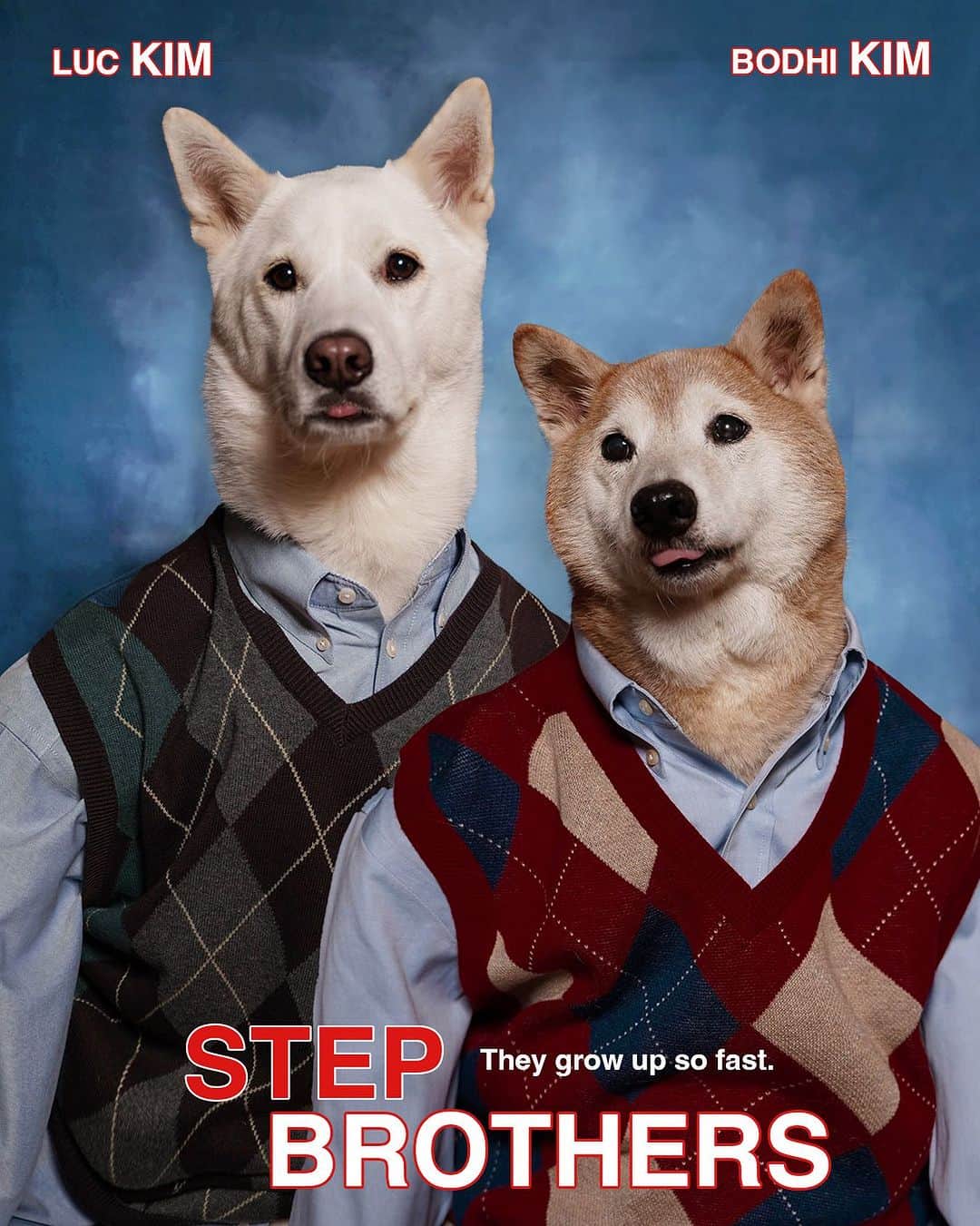 Menswear Dogのインスタグラム