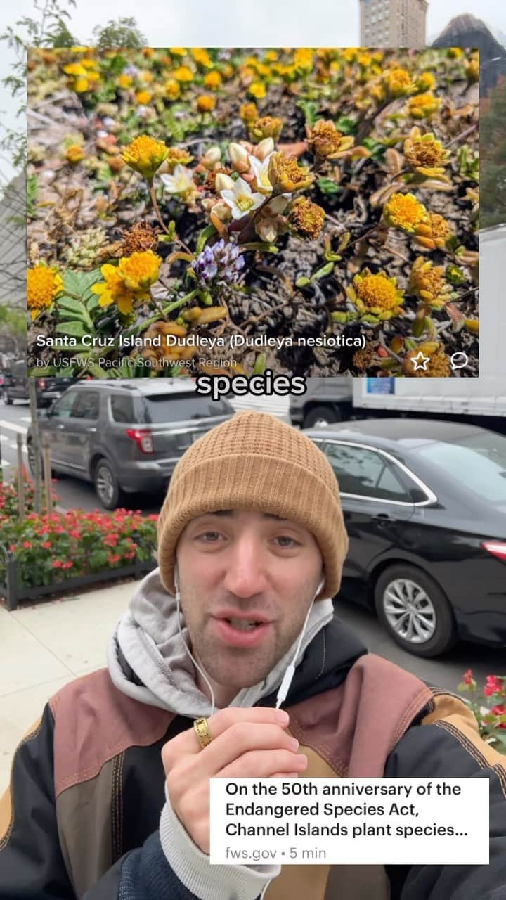 Jacob Simonのインスタグラム：「Today’s good stories:  1 - Michigan power is going carbon-free (Canary Media & Inside Climate News)  2 - Two endangered plant species have fully recorded (FWS)  3 - Illinois is making their gov vehicles electric (wrex)  4 - Congo is expanding national park and marine protections (afrik21)  🌎🌍🌏 TAKE ACTION - help @greenpeaceuk defend against Shell, more info at my b!o  #forthefirstandonlytime #november10 #goodnews #freshair #cleanenergylaws  ℹ️Stories on climativity.com every Friday, 🎶Music by Tristan Arostegui & Hunter Hanson.」