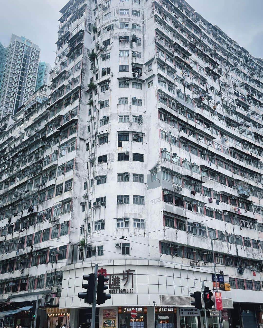 まきたんさんのインスタグラム写真 - (まきたんInstagram)「Monster mansion at 香港🇭🇰 圧巻…パラサイト🪱 #香港 #Monster mansion」11月11日 5時19分 - makitan.investor