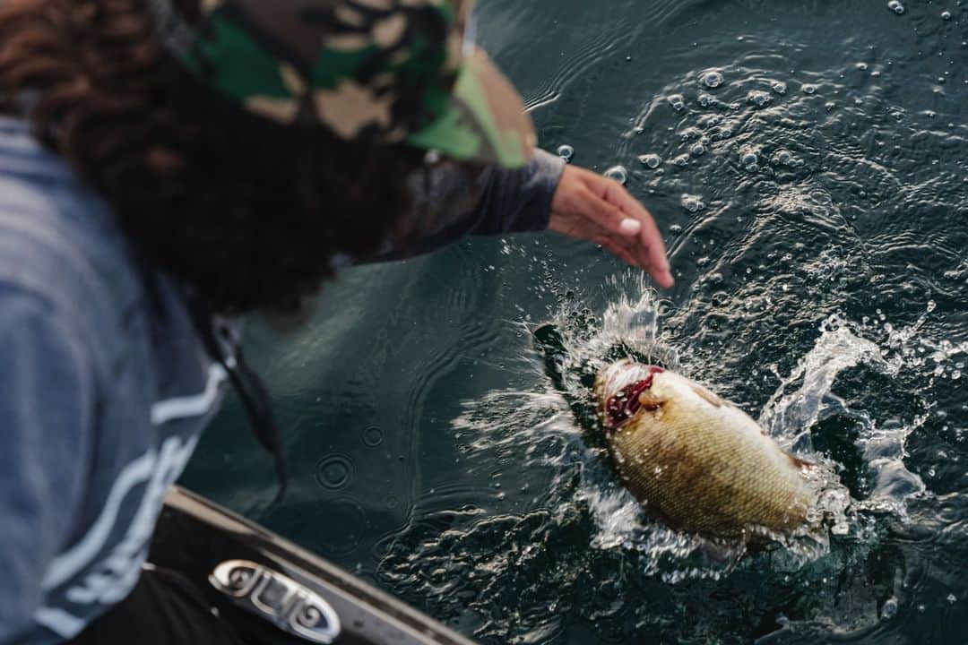 アブガルシアのインスタグラム：「Looking for the scoop & score👀 #FishToWin   #abugarcia #fishing #smallmouthbass #revo」